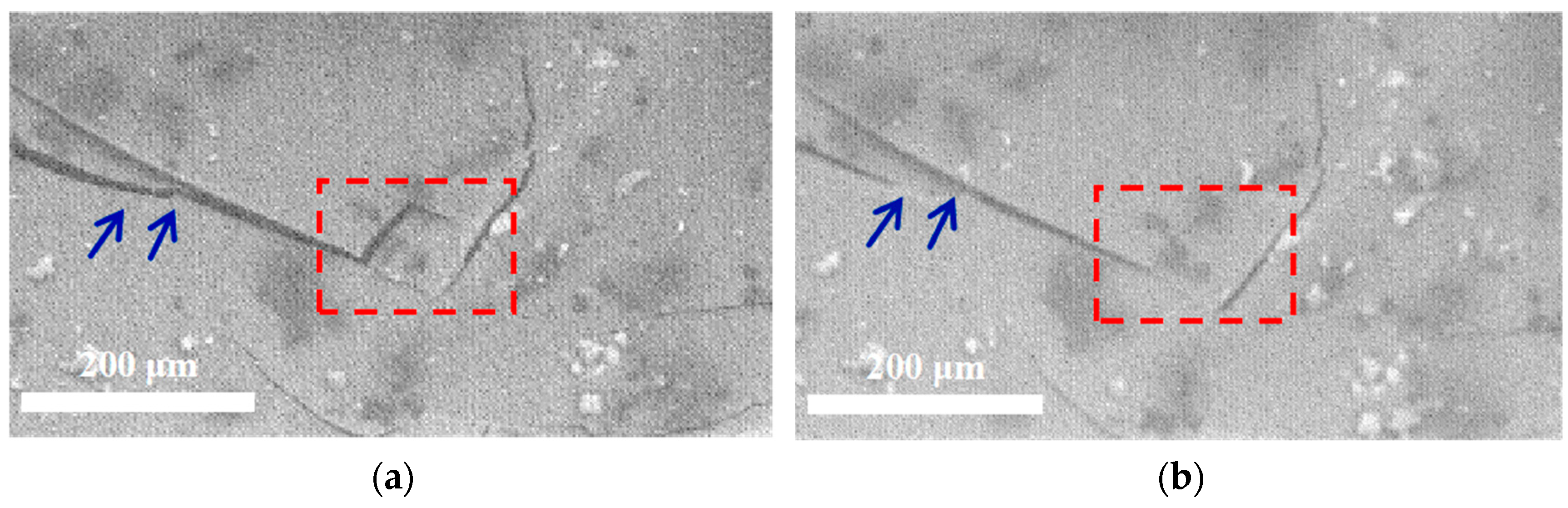 Molecules 30 02794 g010