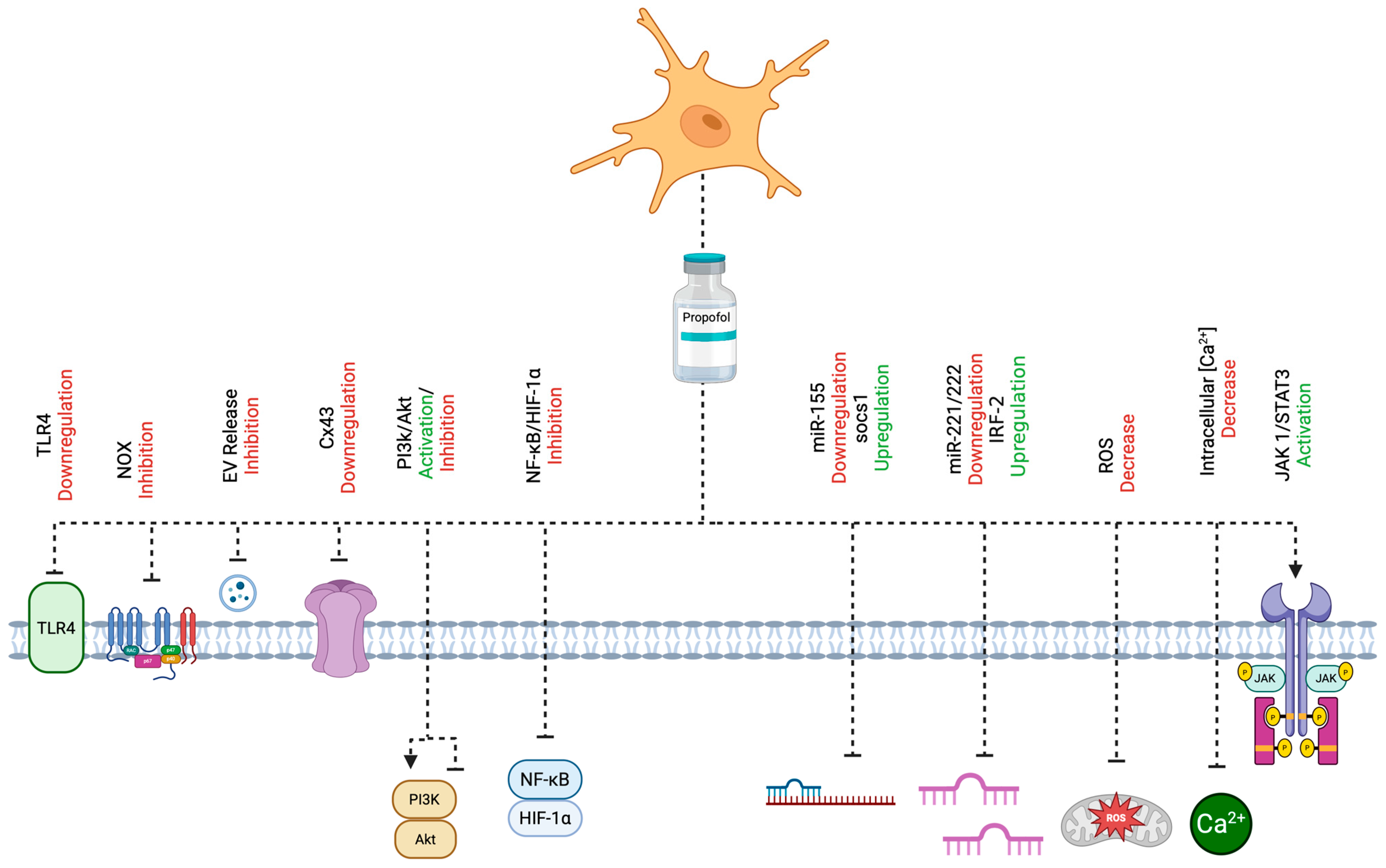 Molecules 30 02795 g001