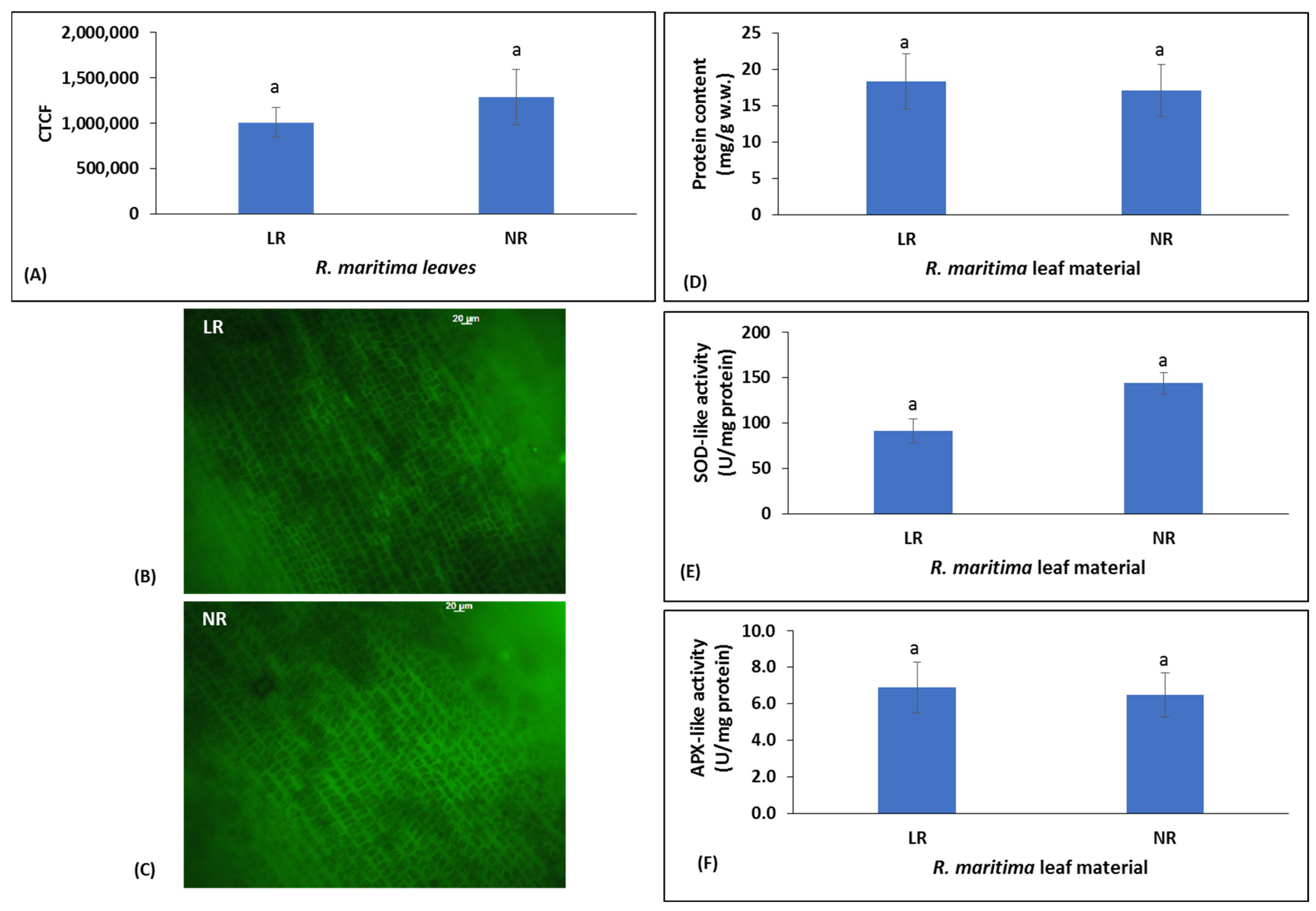 Molecules 30 02800 g001
