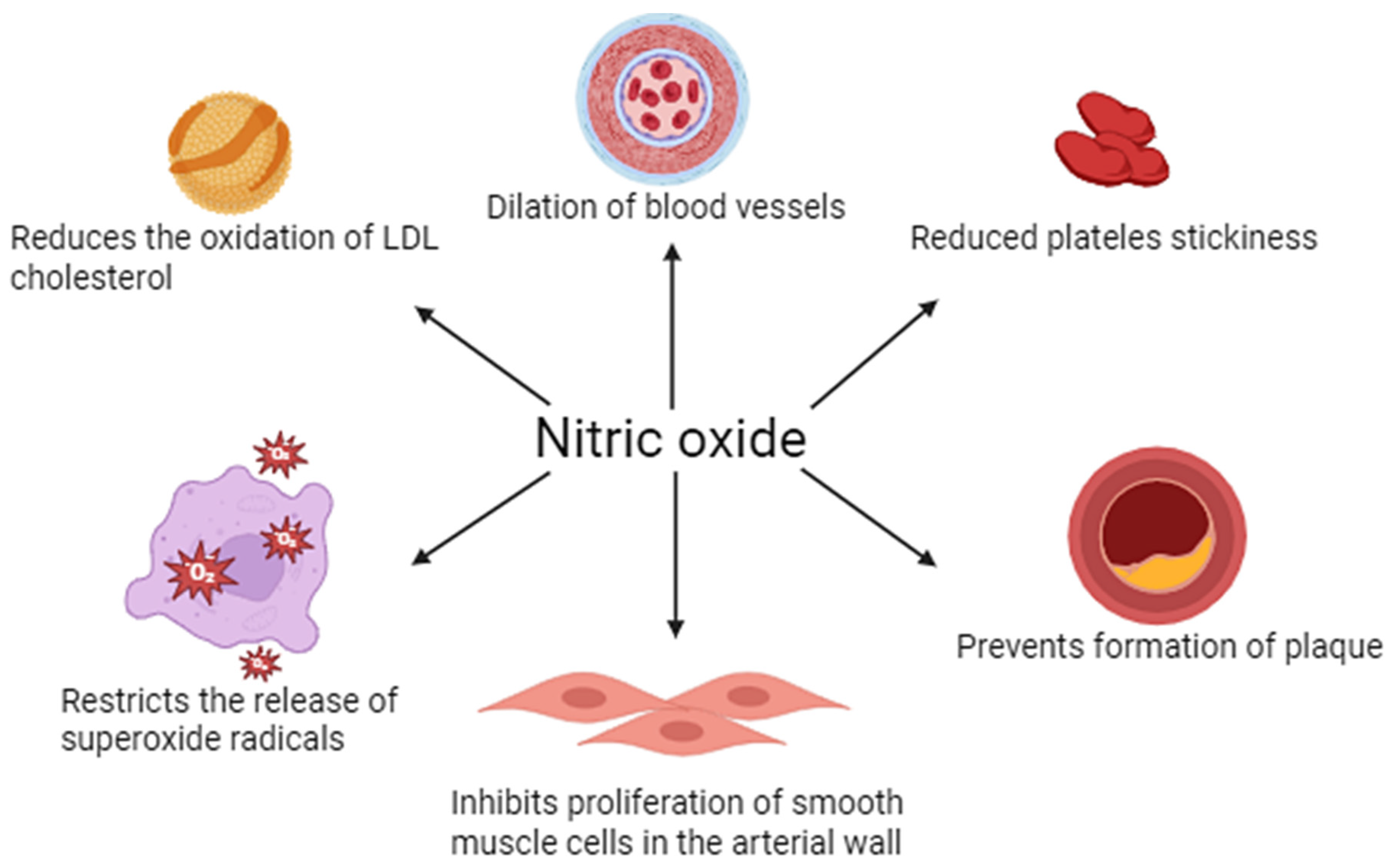 Molecules 30 02802 g001