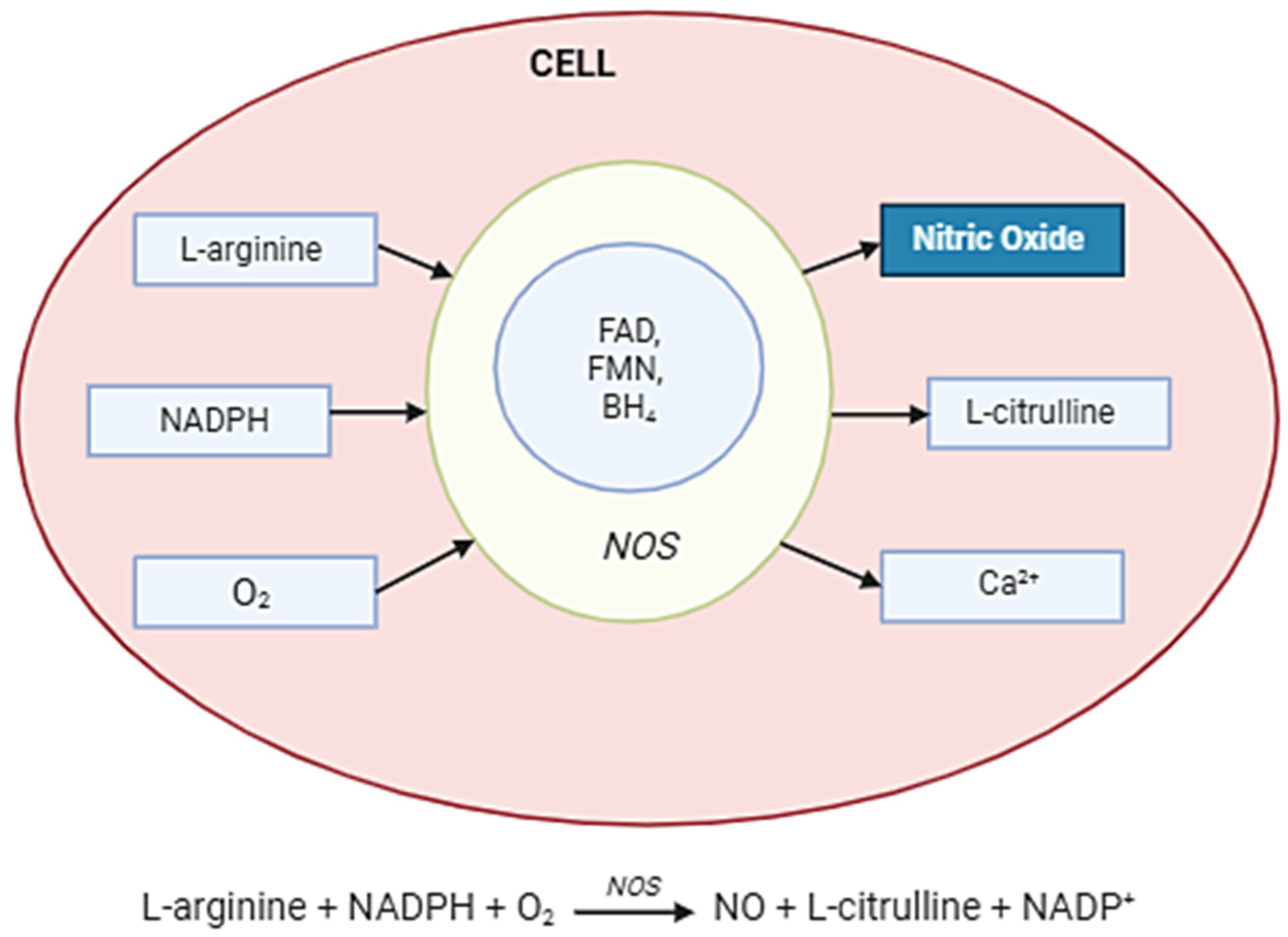 Molecules 30 02802 g002