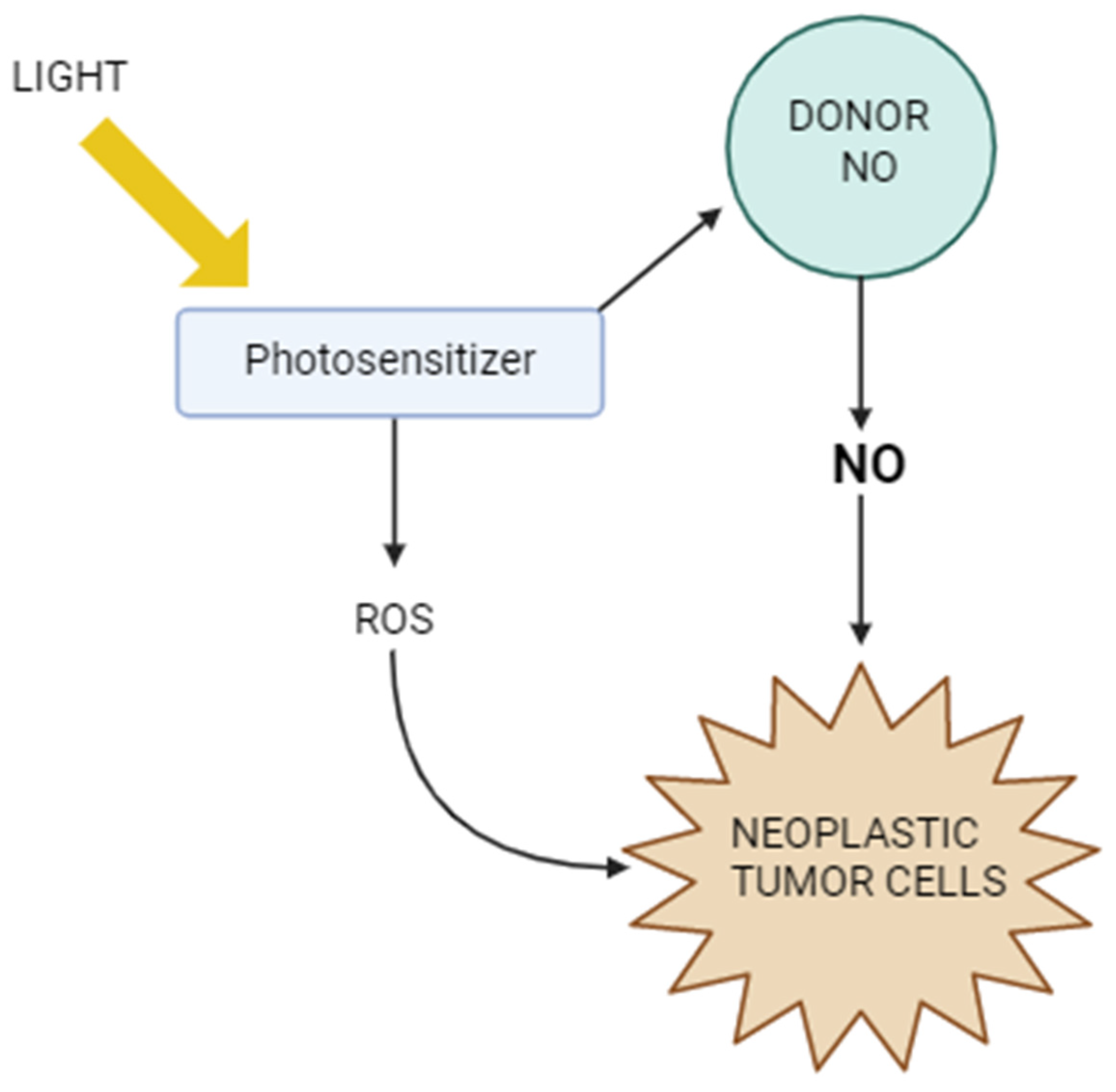 Molecules 30 02802 g004