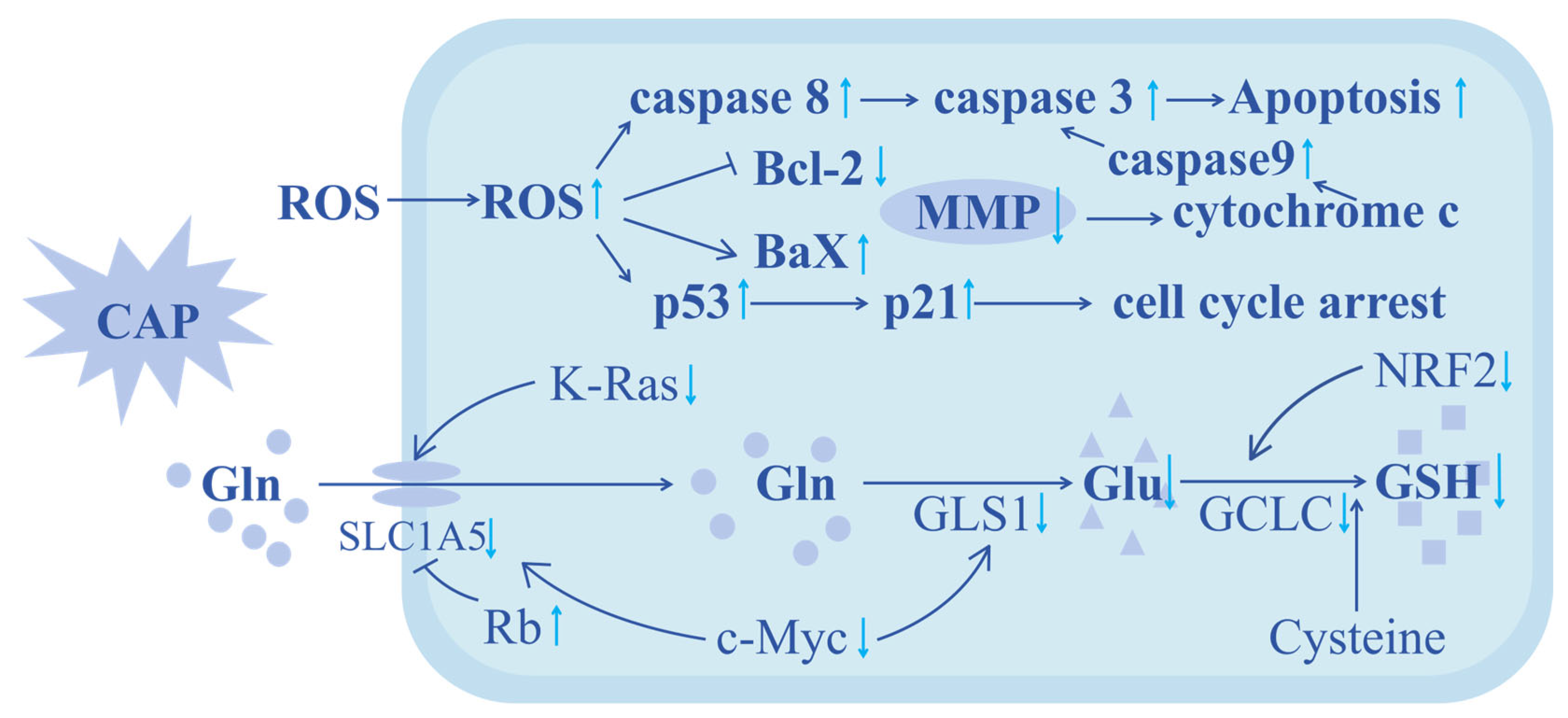 Molecules 30 02808 g011