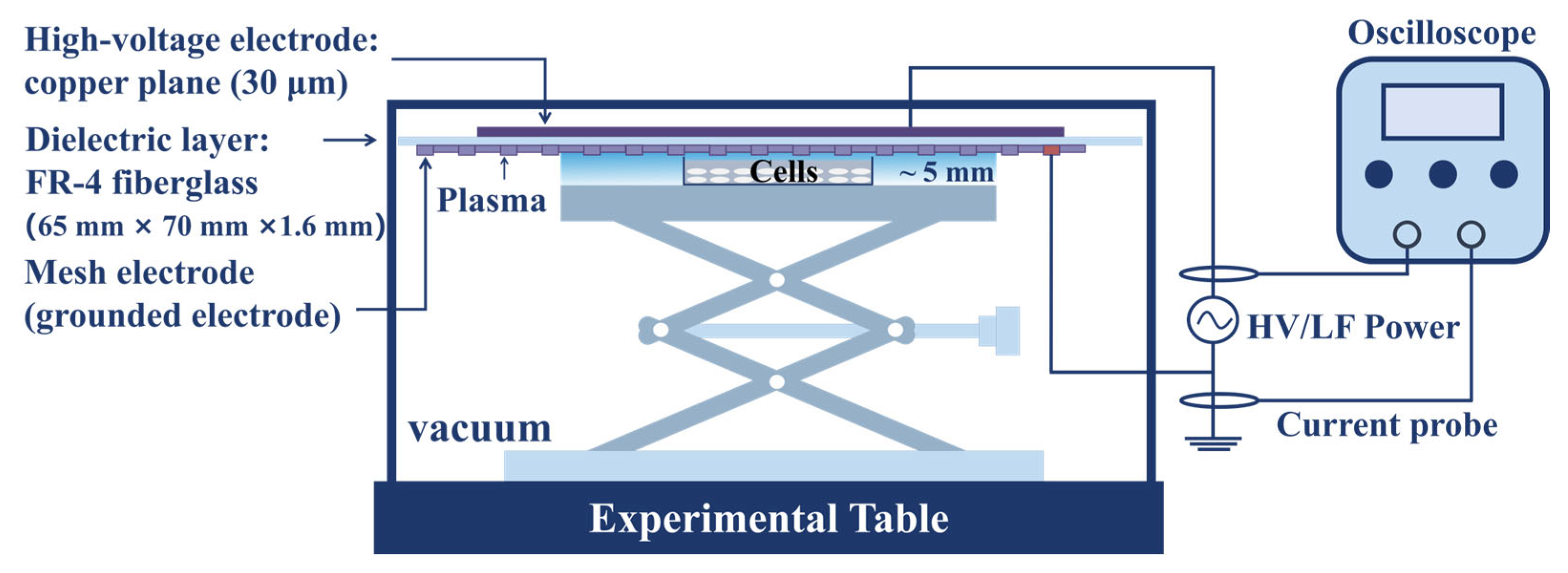 Molecules 30 02808 g012
