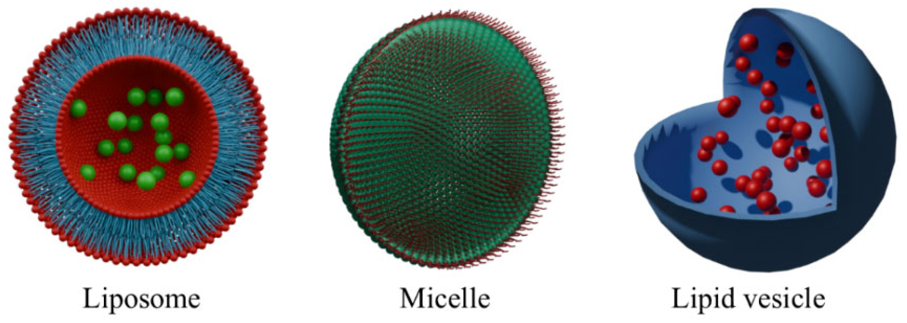 Molecules 30 02810 g003