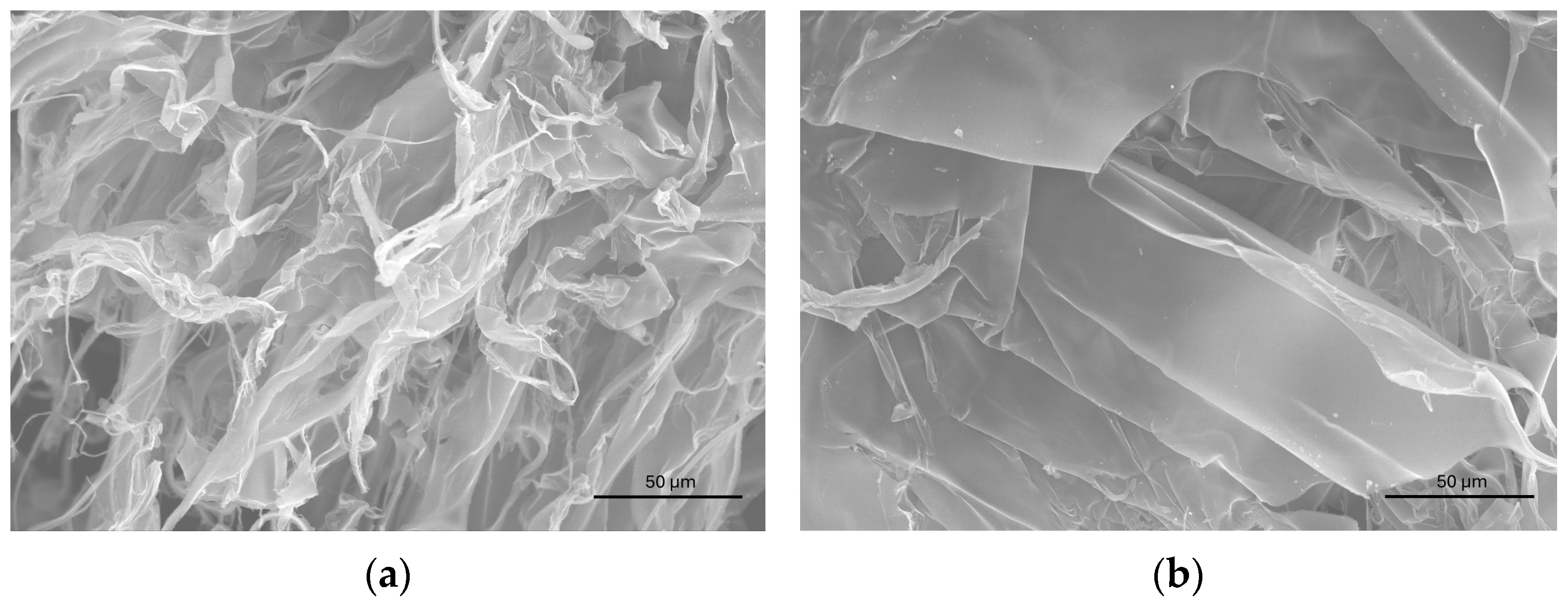 Molecules 30 02817 g010