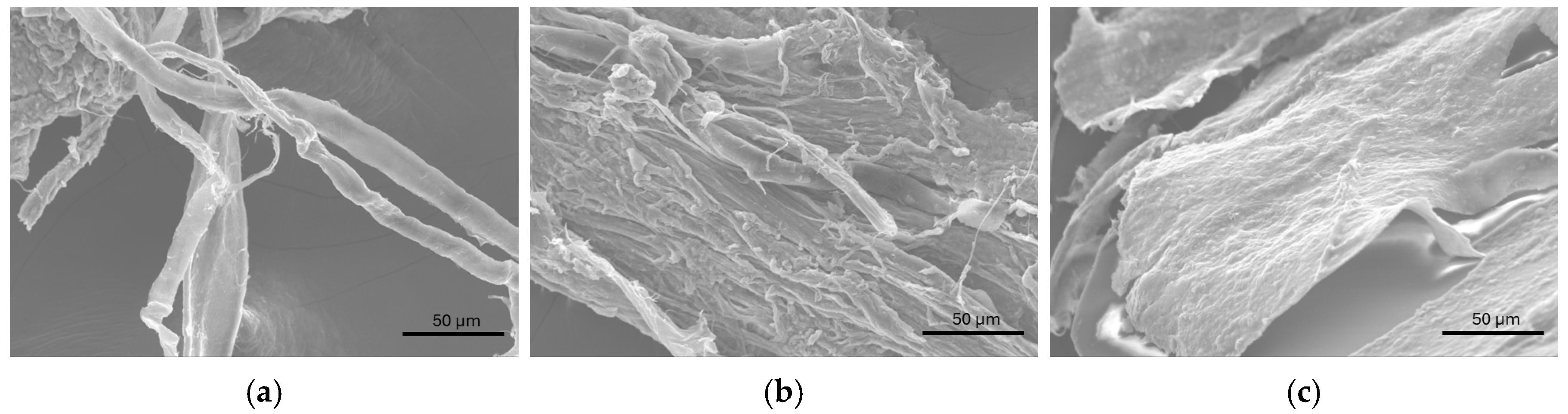 Molecules 30 02817 g011
