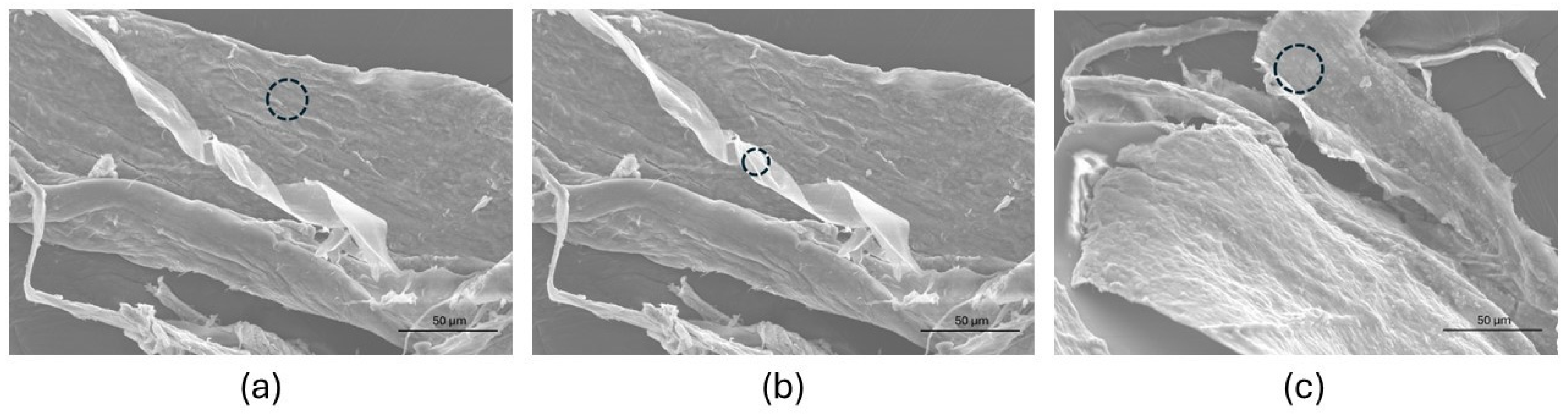 Molecules 30 02817 g012