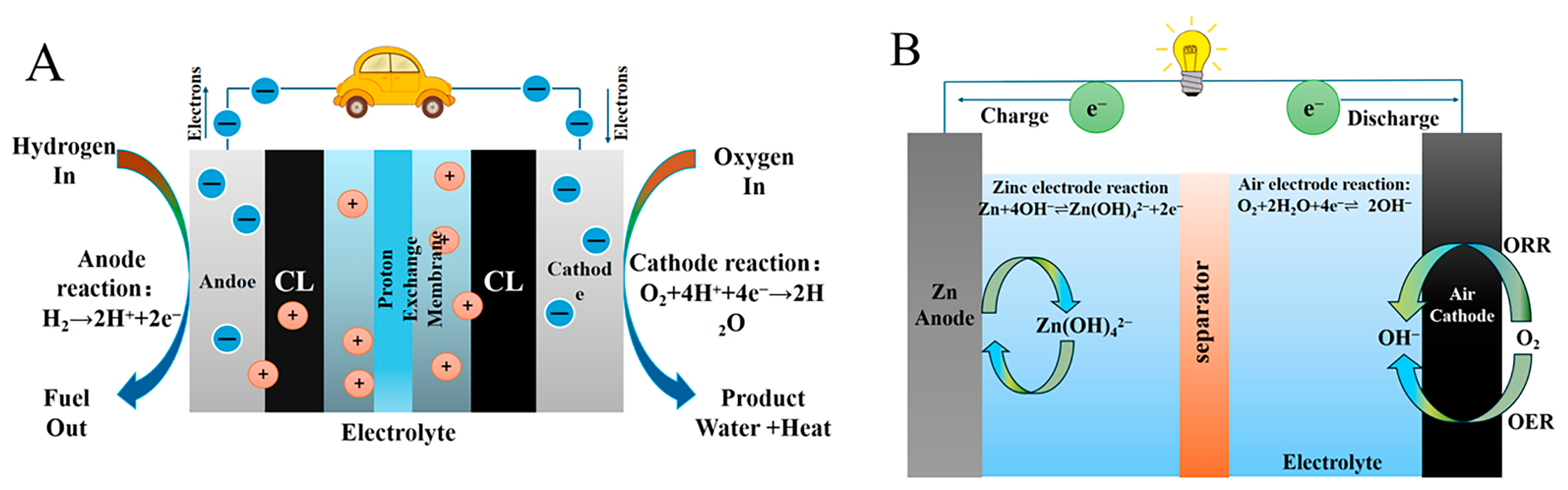 Molecules 30 02818 g001