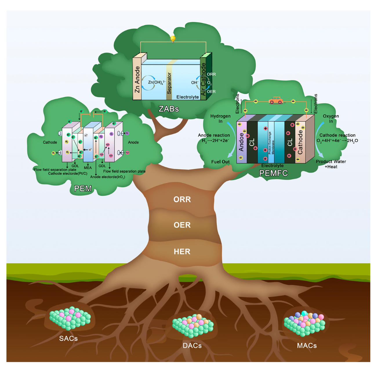 Molecules 30 02818 g003