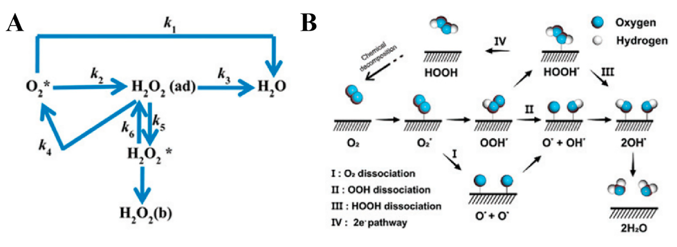 Molecules 30 02818 g004
