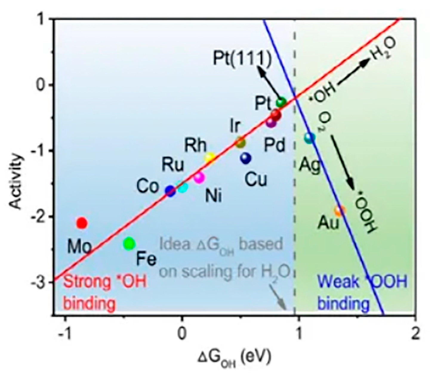 Molecules 30 02818 g005