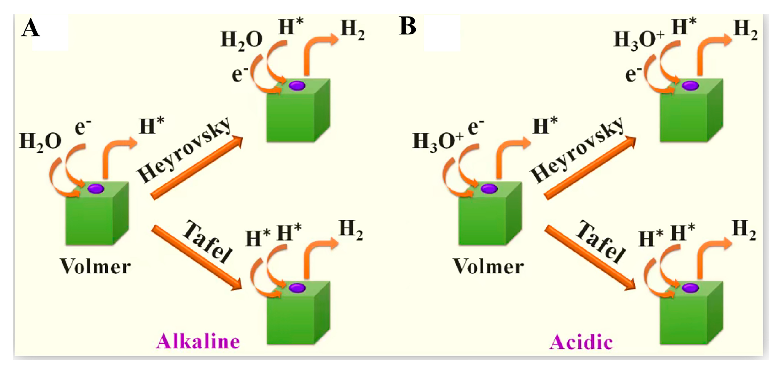 Molecules 30 02818 g006