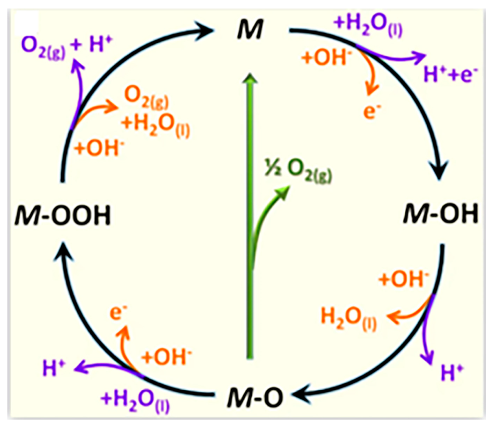 Molecules 30 02818 g009