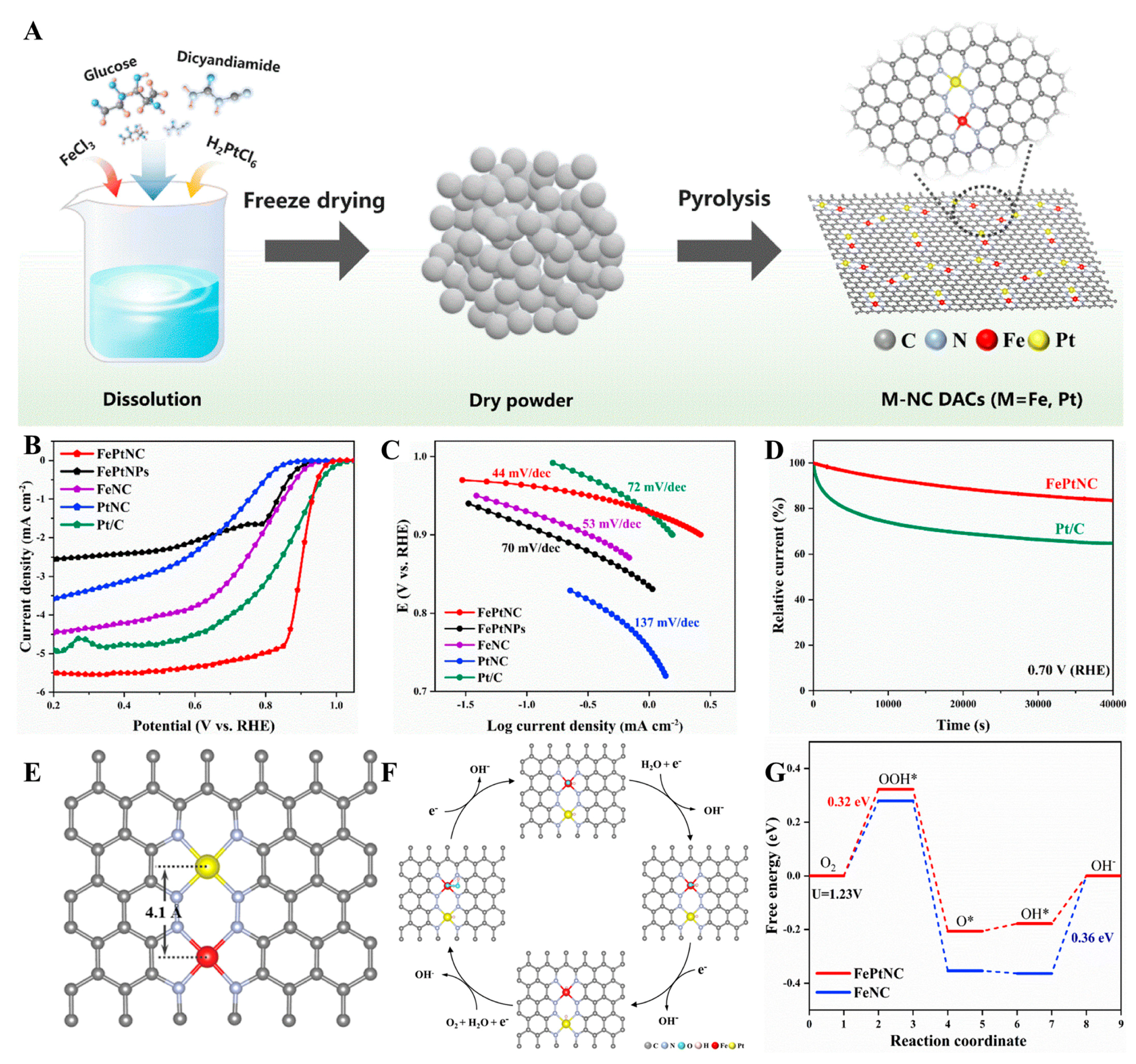 Molecules 30 02818 g011