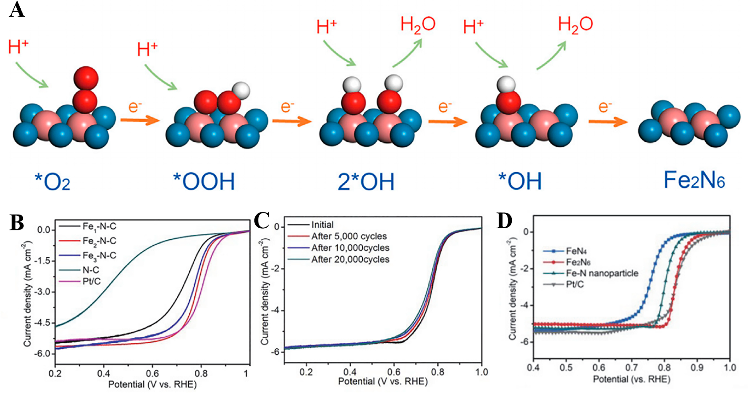 Molecules 30 02818 g015