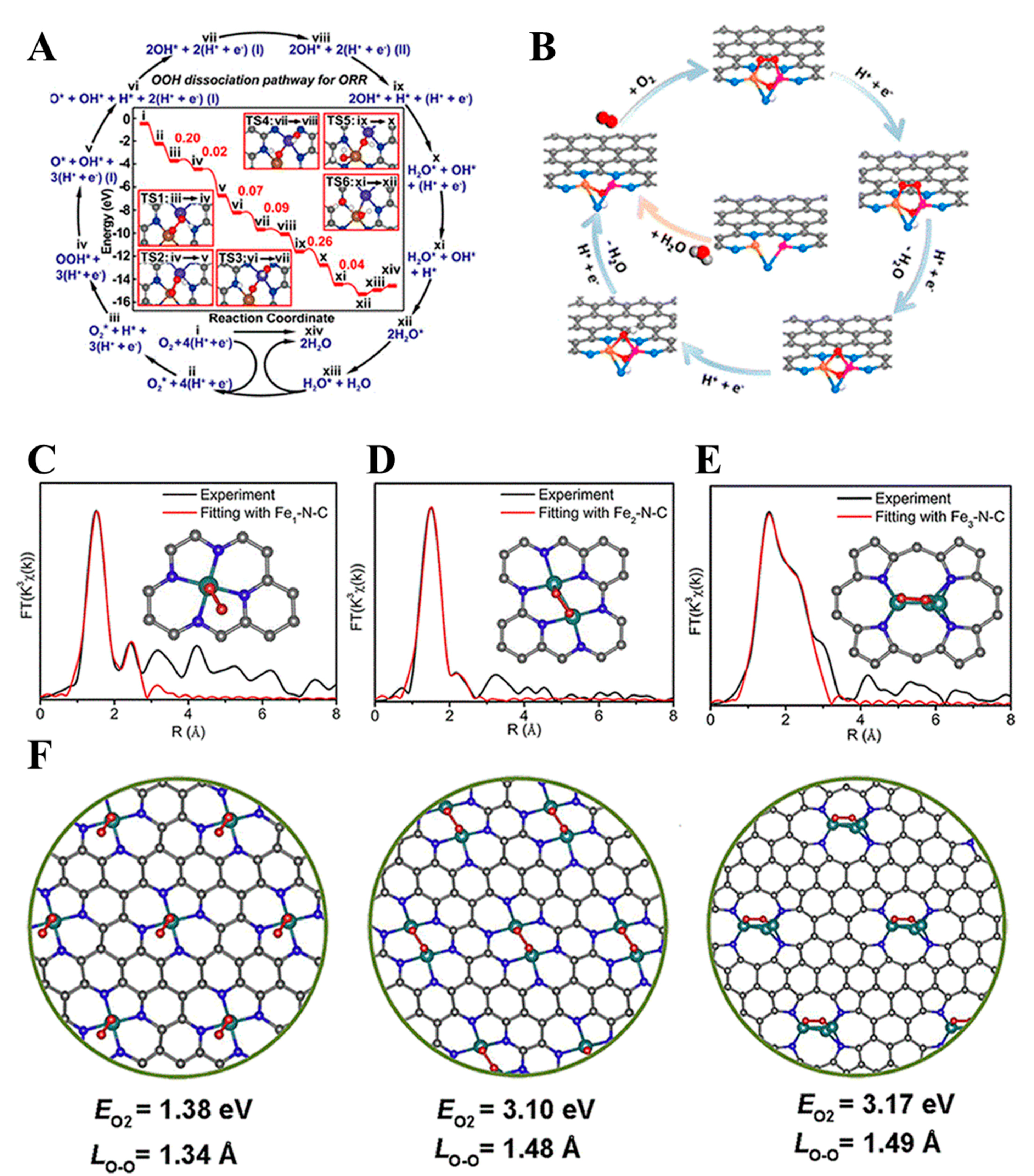 Molecules 30 02818 g020