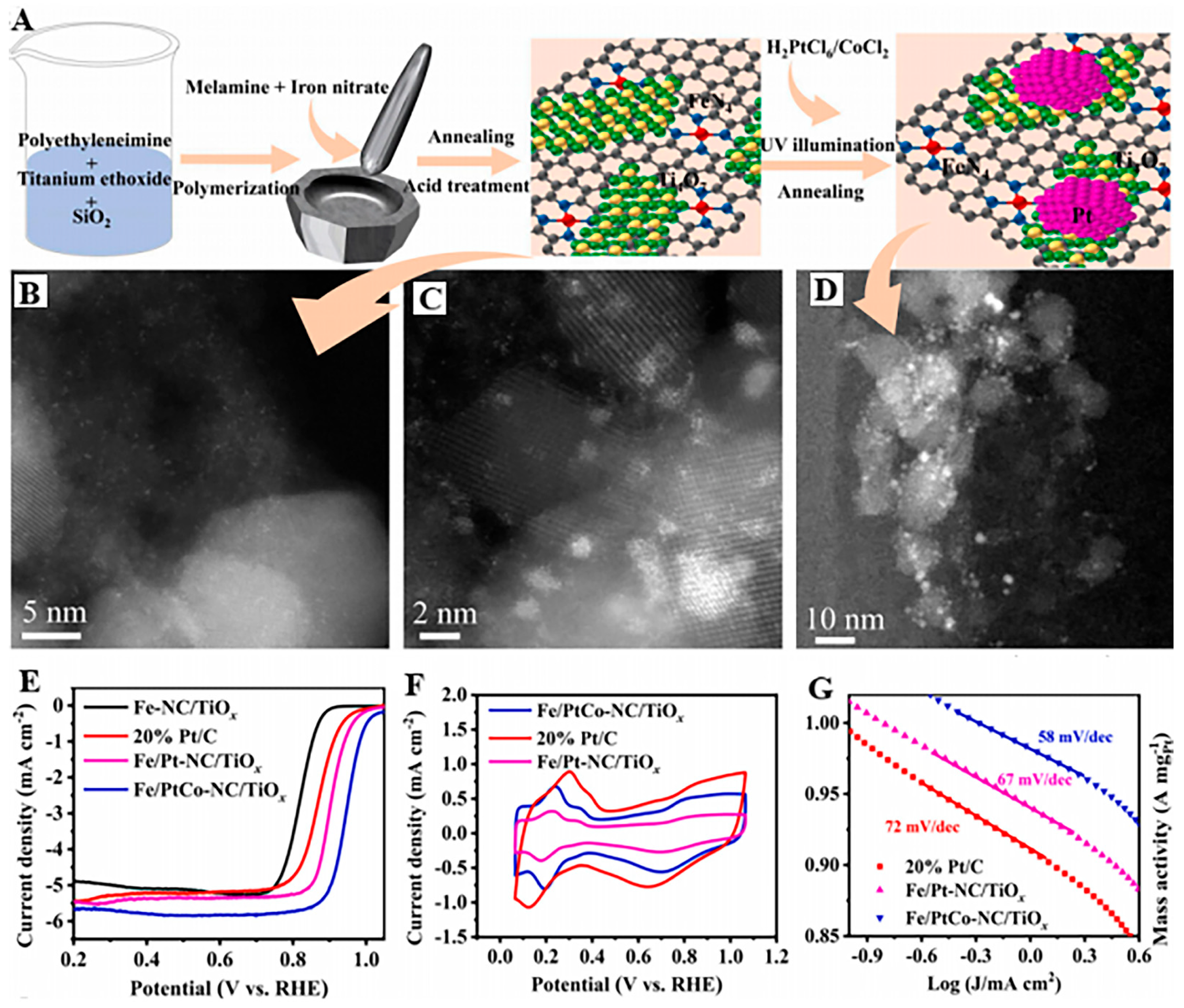 Molecules 30 02818 g022