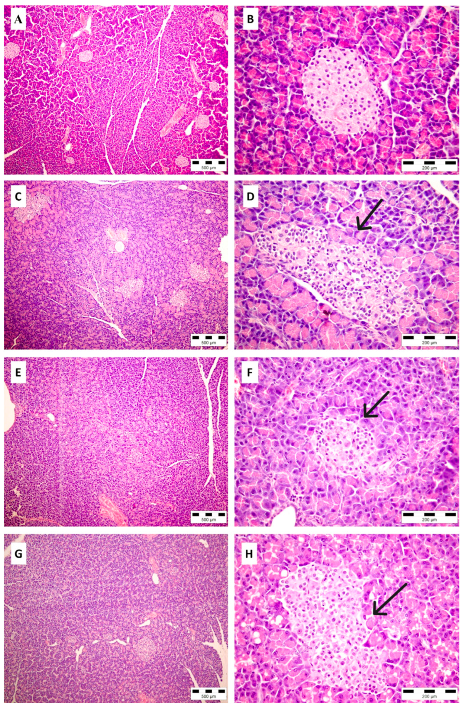 Molecules 30 02819 g005