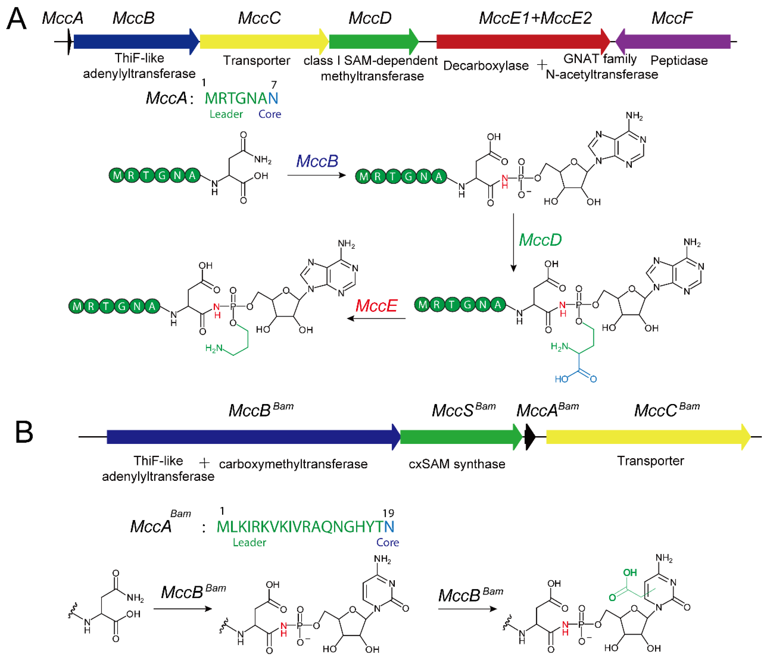 Molecules 30 02821 g002 Molecules 30 02821 g002