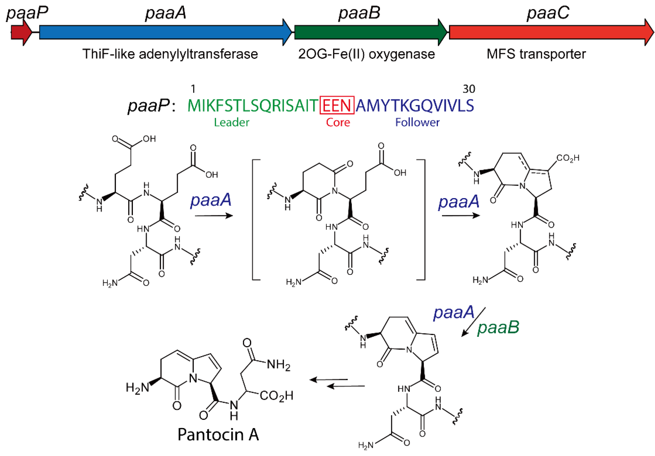 Molecules 30 02821 g005 Molecules 30 02821 g005