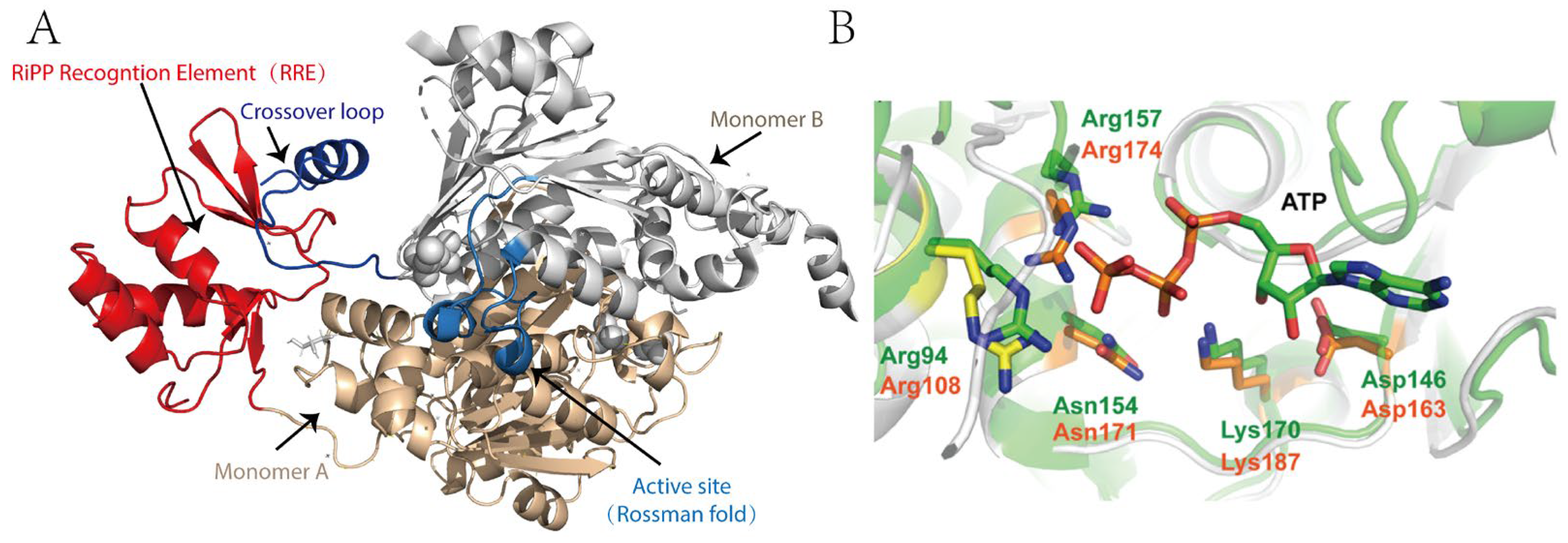 Molecules 30 02821 g006 Molecules 30 02821 g006
