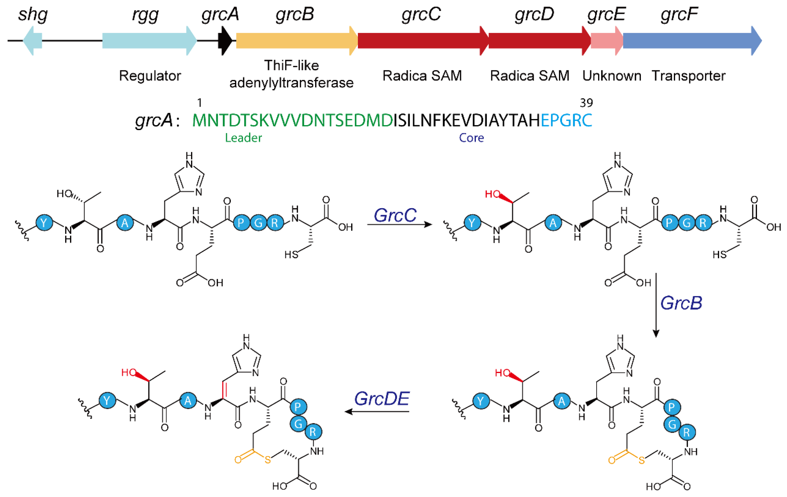 Molecules 30 02821 g007 Molecules 30 02821 g007