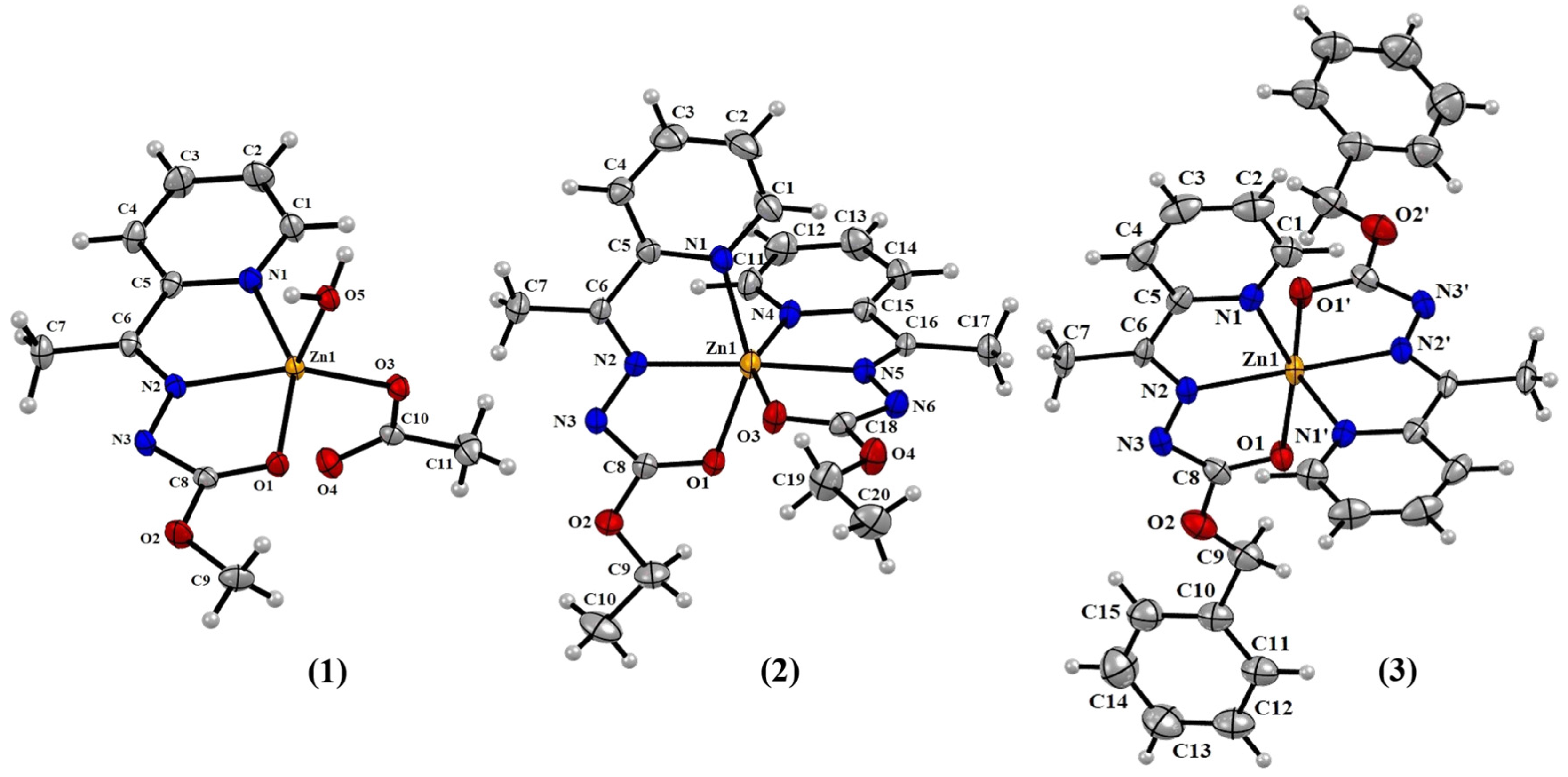 Molecules 30 02822 g001
