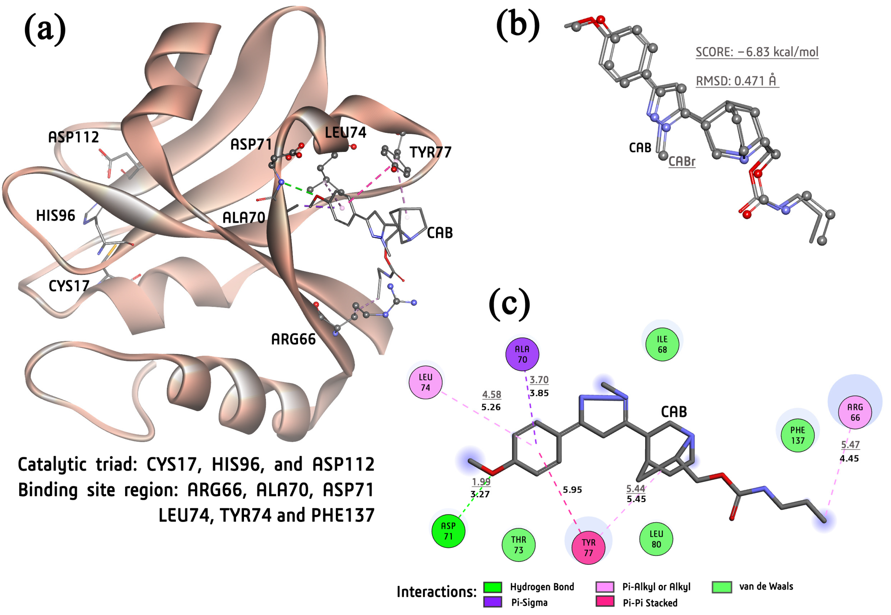 Molecules 30 02822 g004
