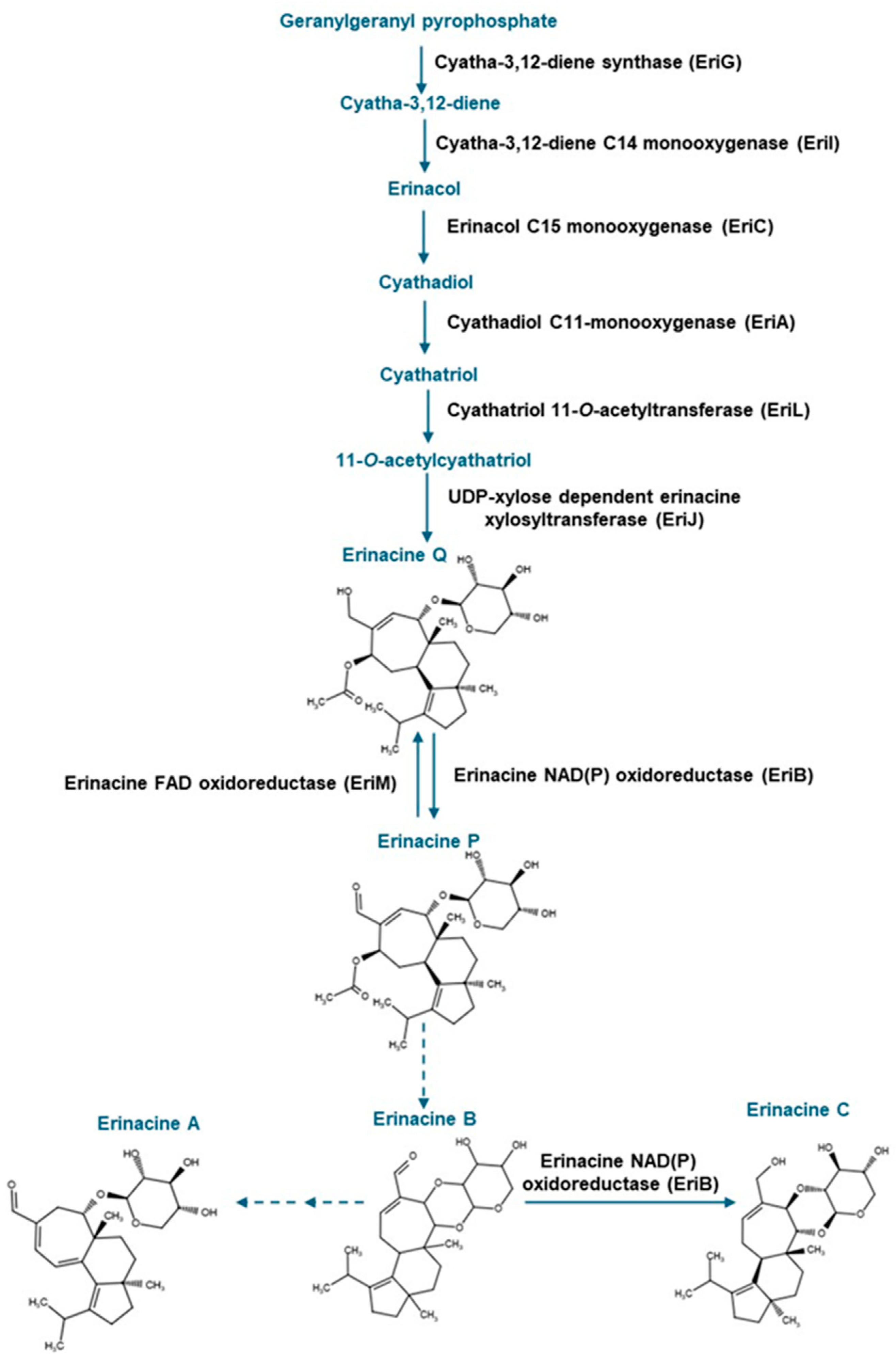 Molecules 30 02823 g001