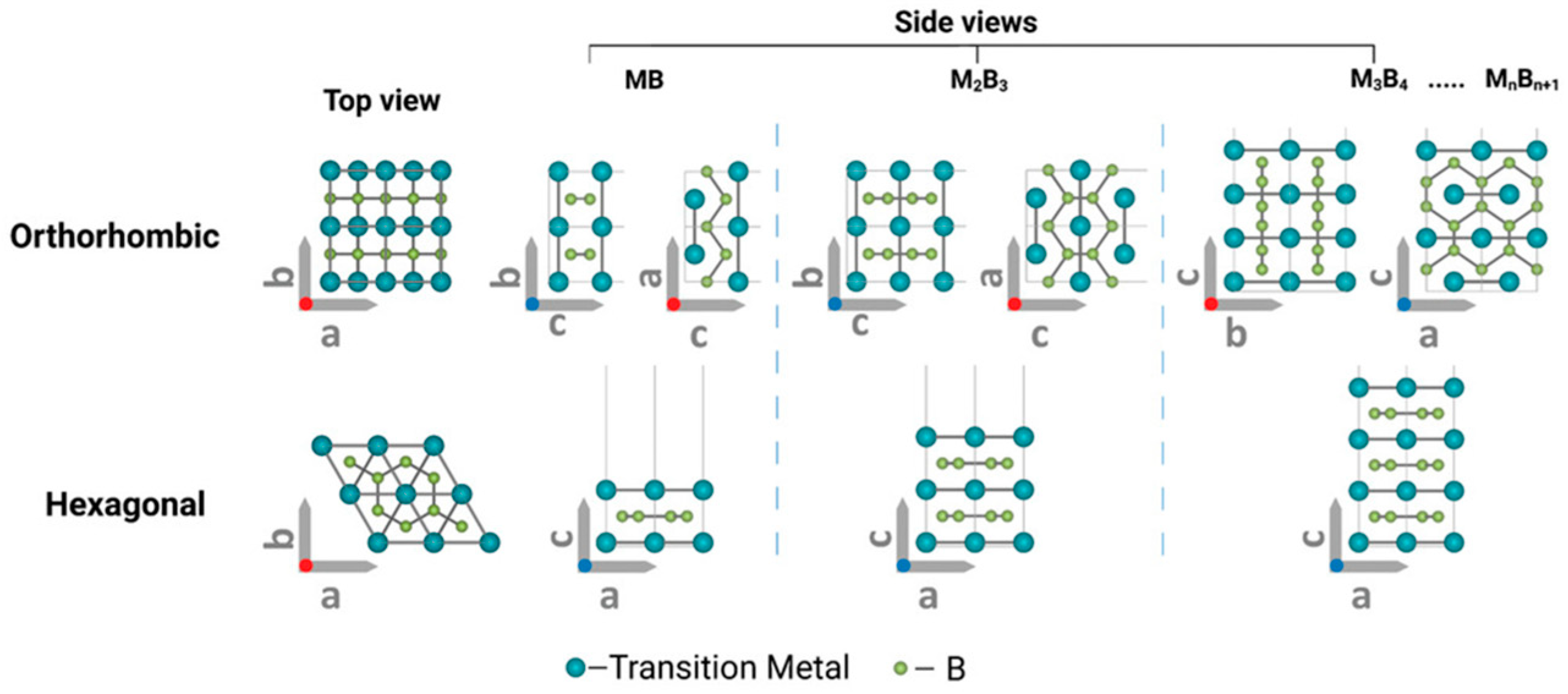 Molecules 30 02831 g004