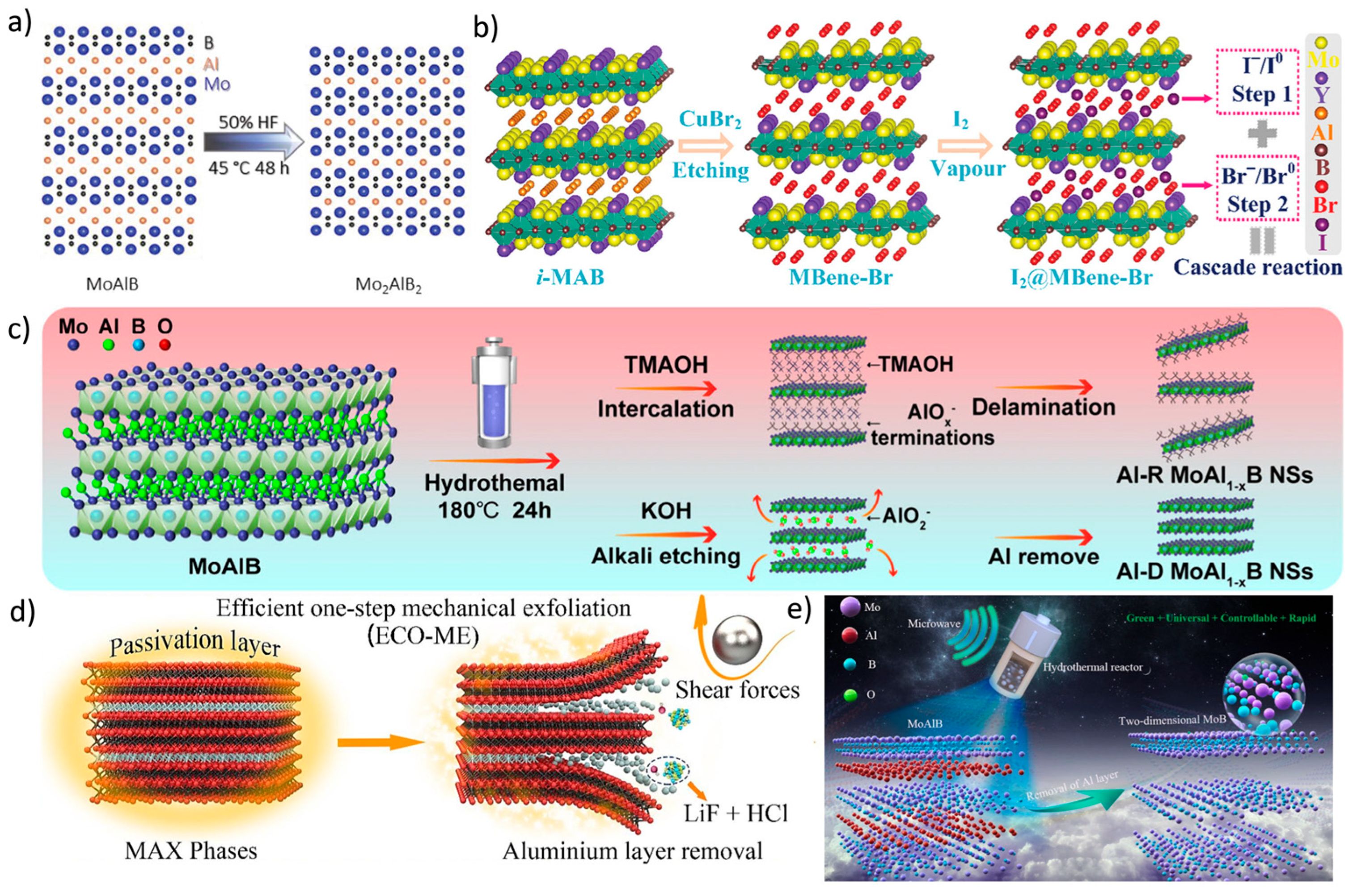 Molecules 30 02831 g005