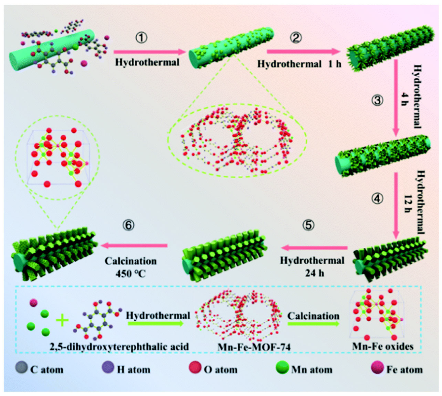 Molecules 30 02836 g007