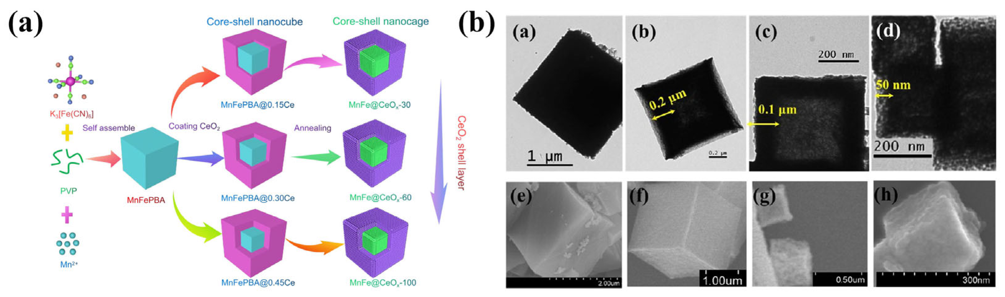 Molecules 30 02836 g008