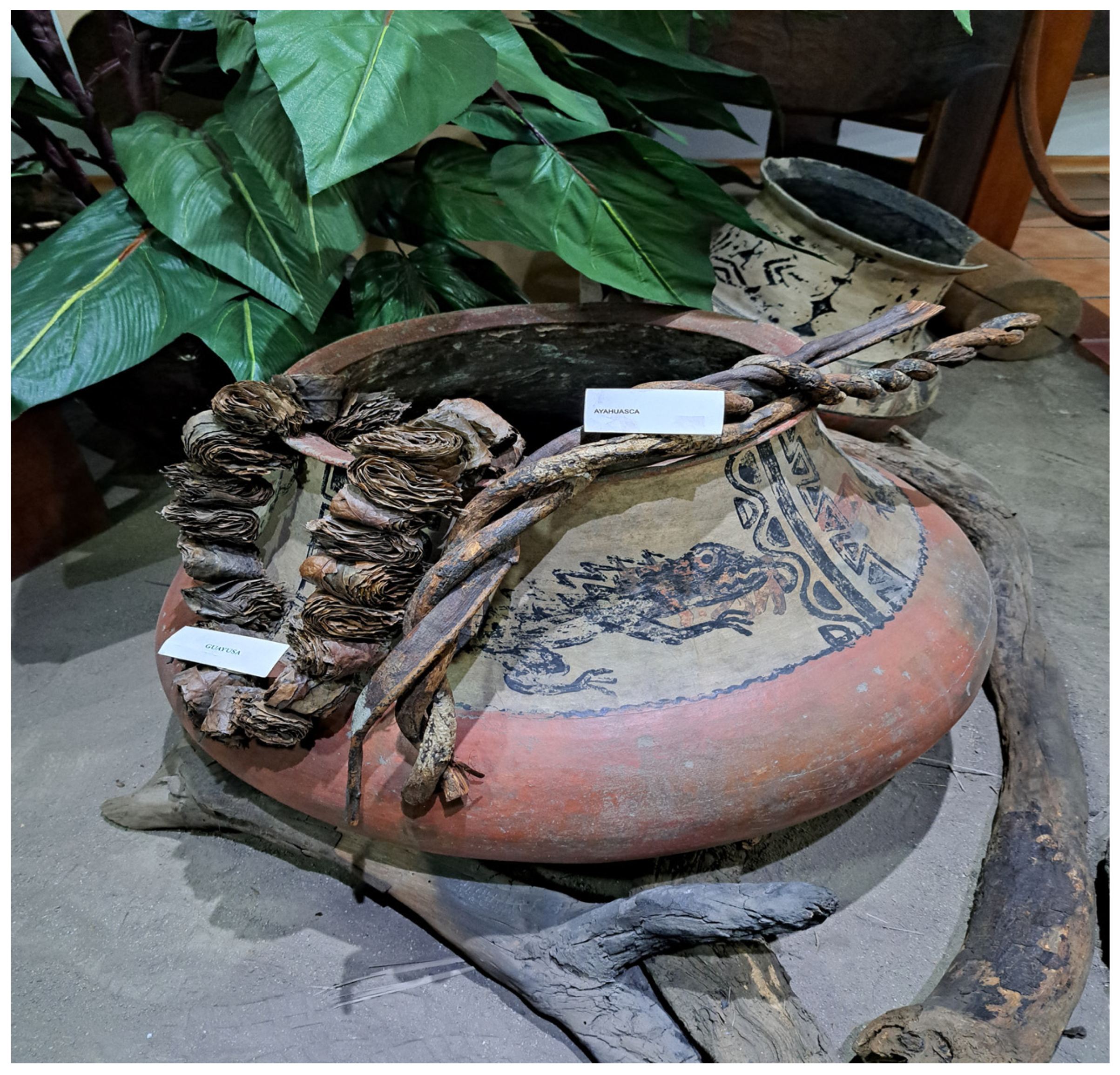 Molecules 30 02837 g001