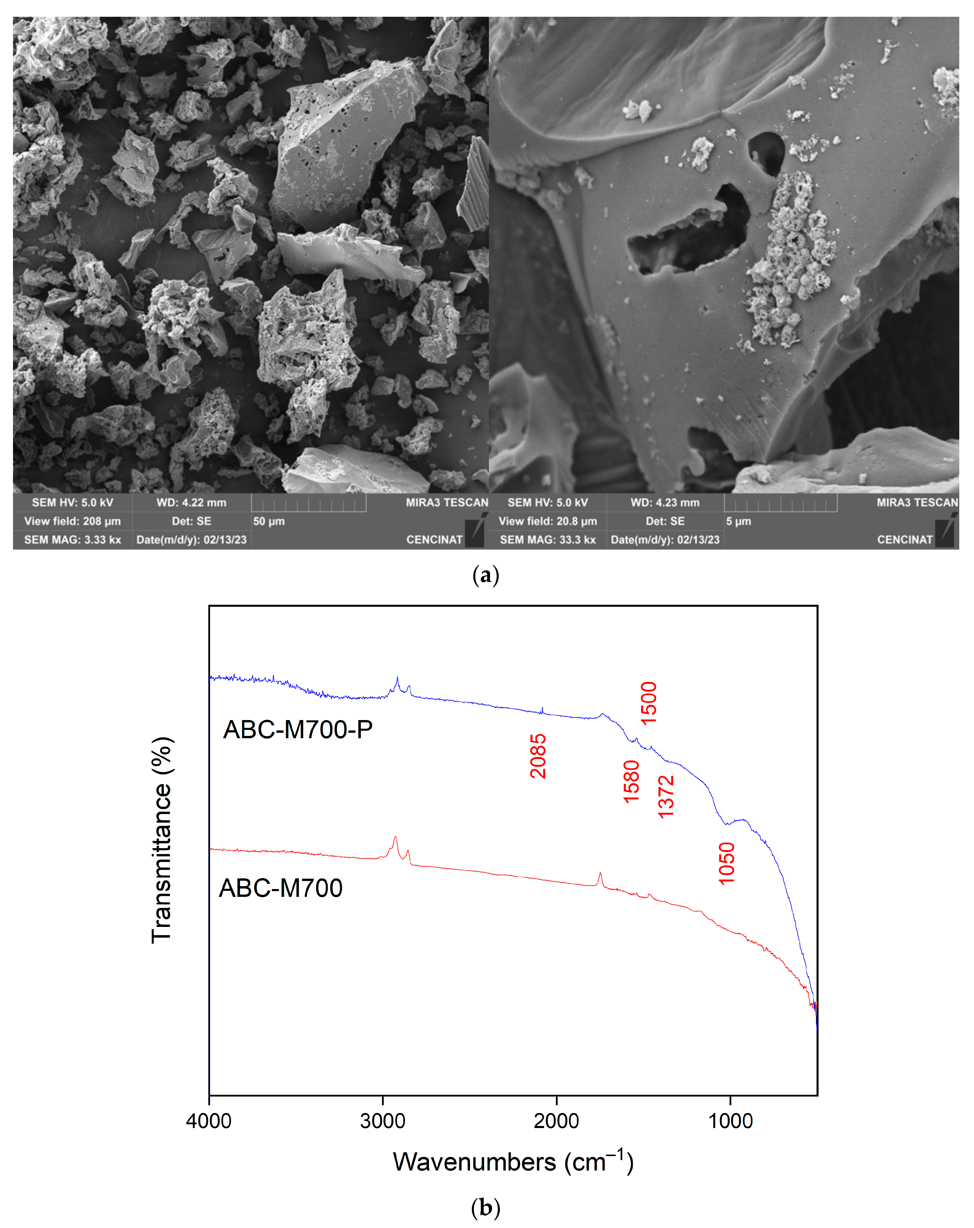 Molecules 30 02842 g007