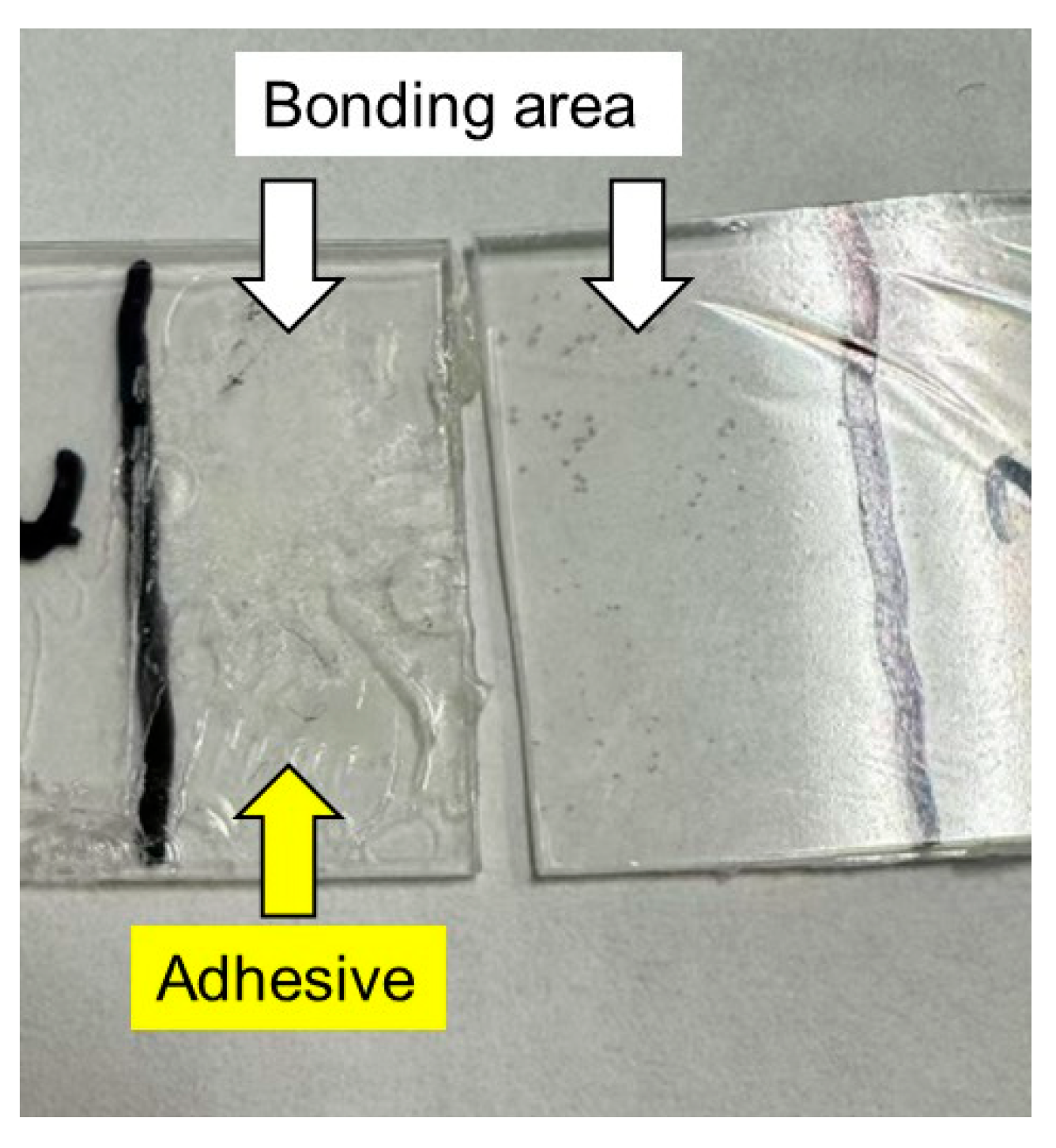Molecules 30 02843 g008