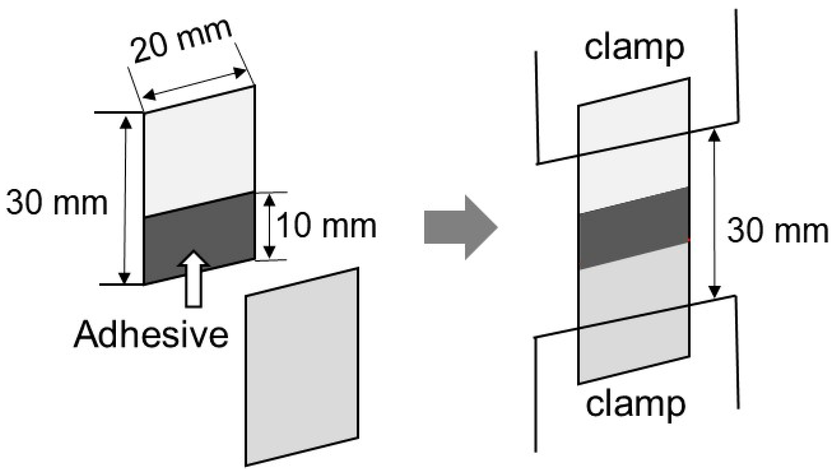 Molecules 30 02843 g009