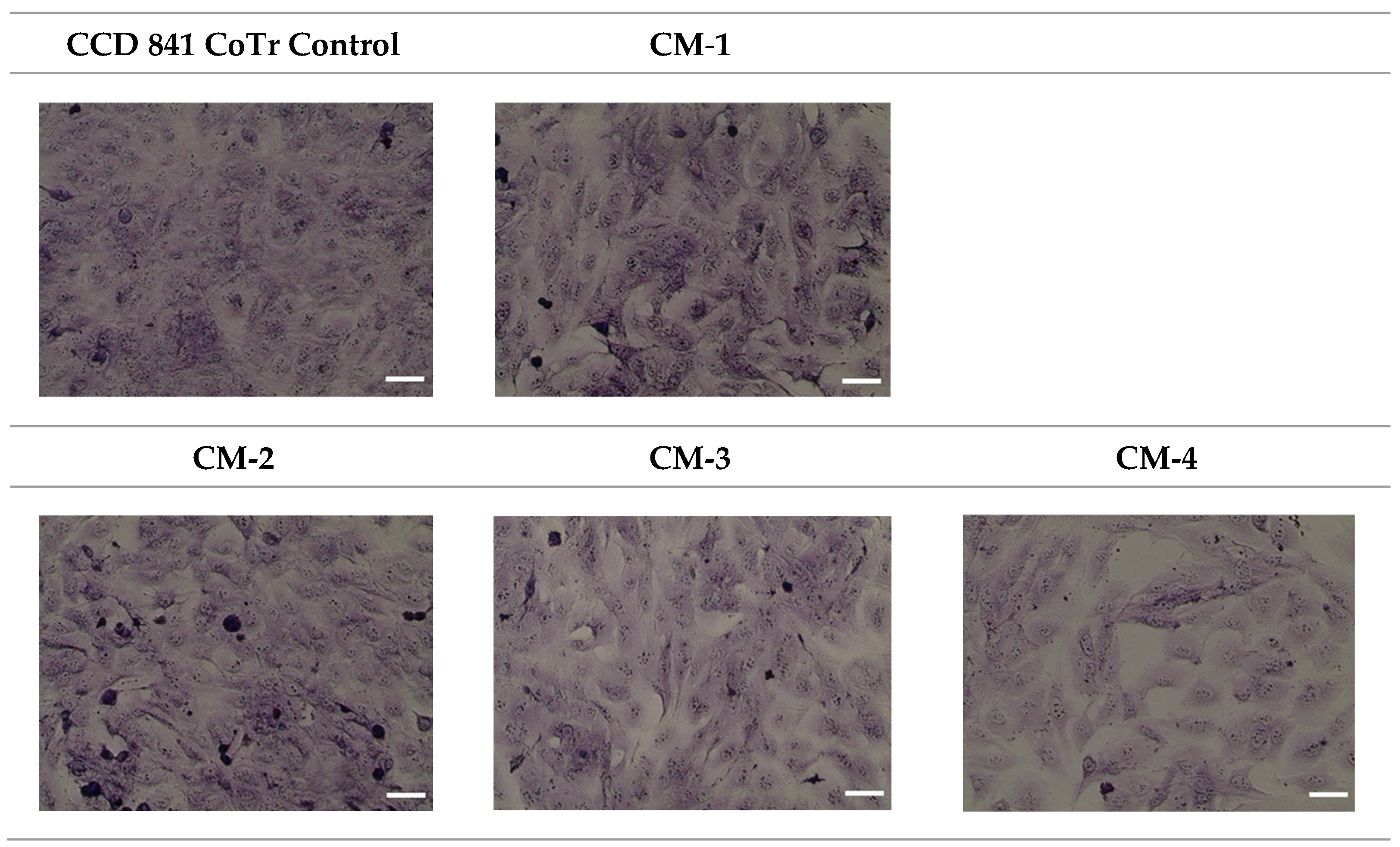 Molecules 30 02846 g011b Molecules 30 02846 g011b