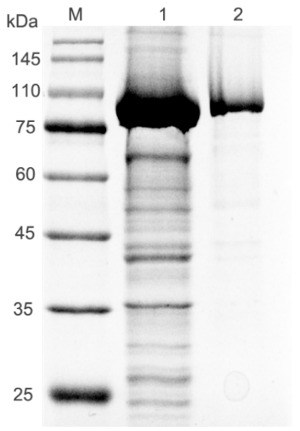 Molecules 30 02847 g002