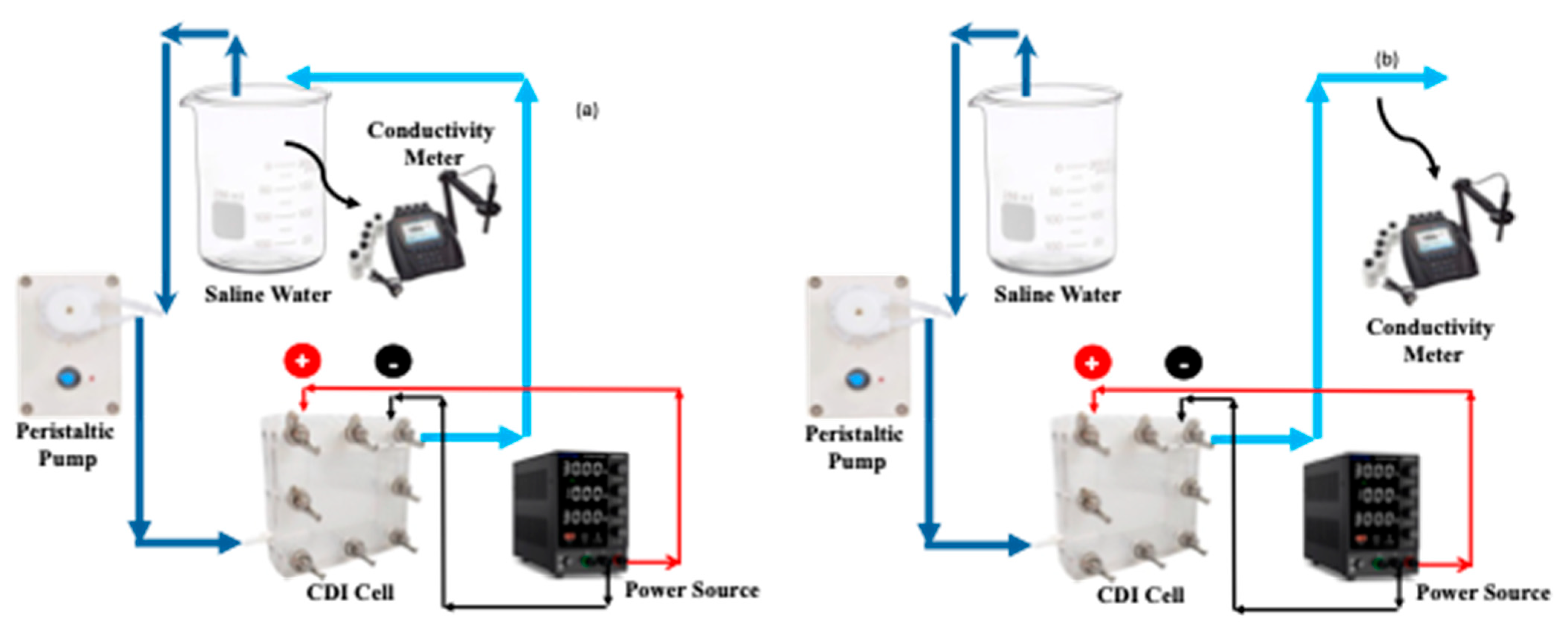 Molecules 30 02848 g012