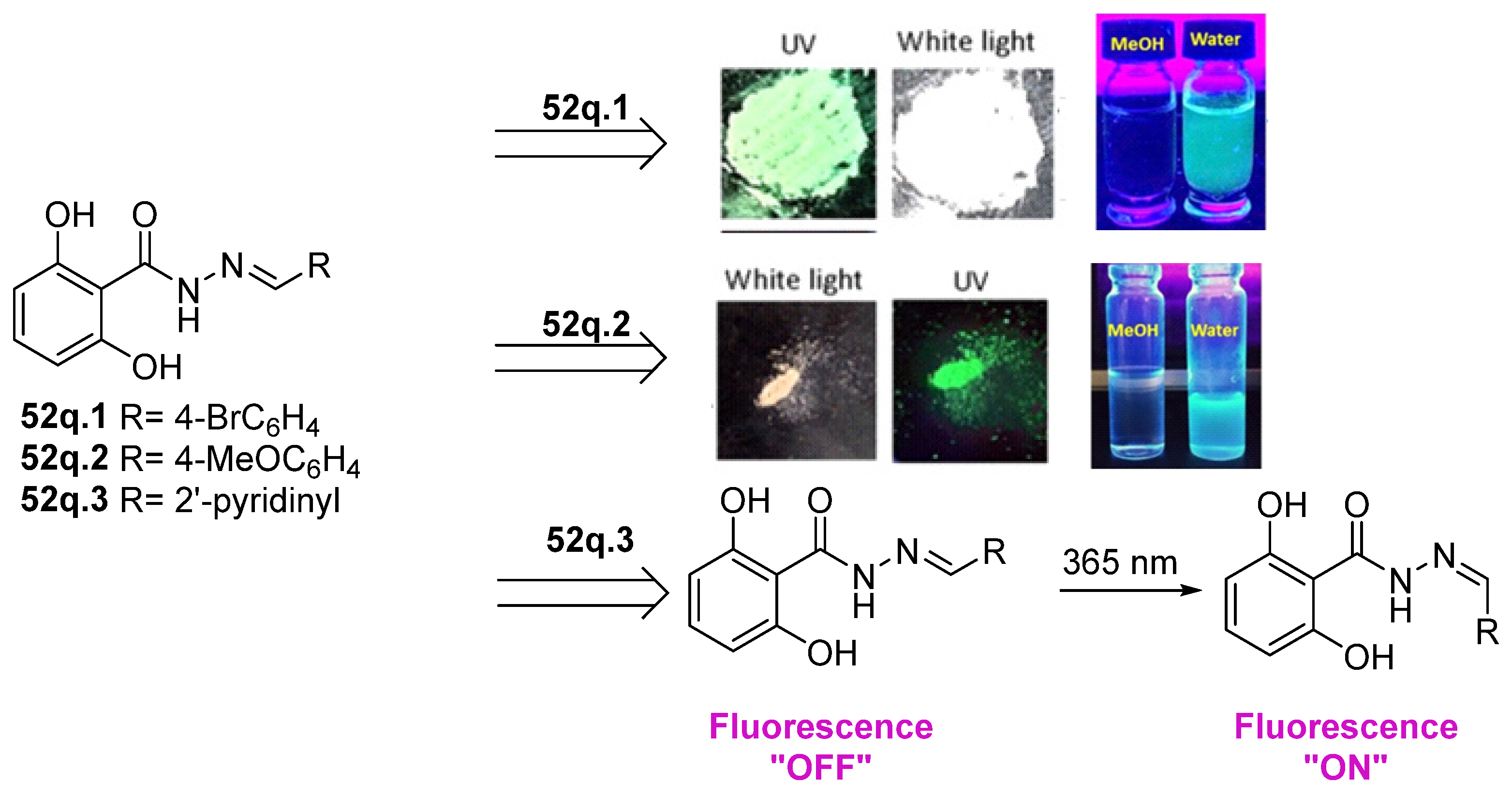 Molecules 30 02852 g014
