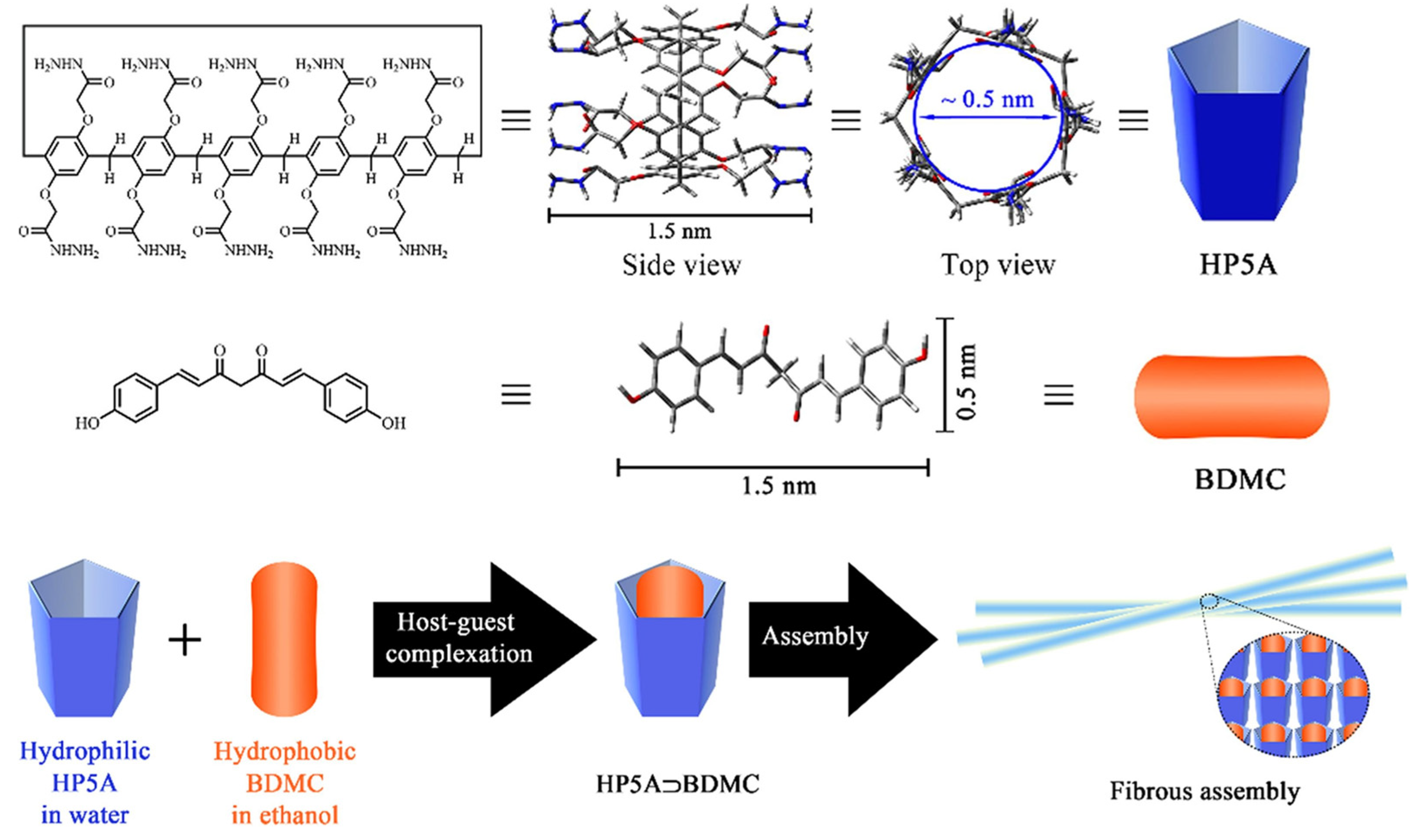 Molecules 30 02852 g035