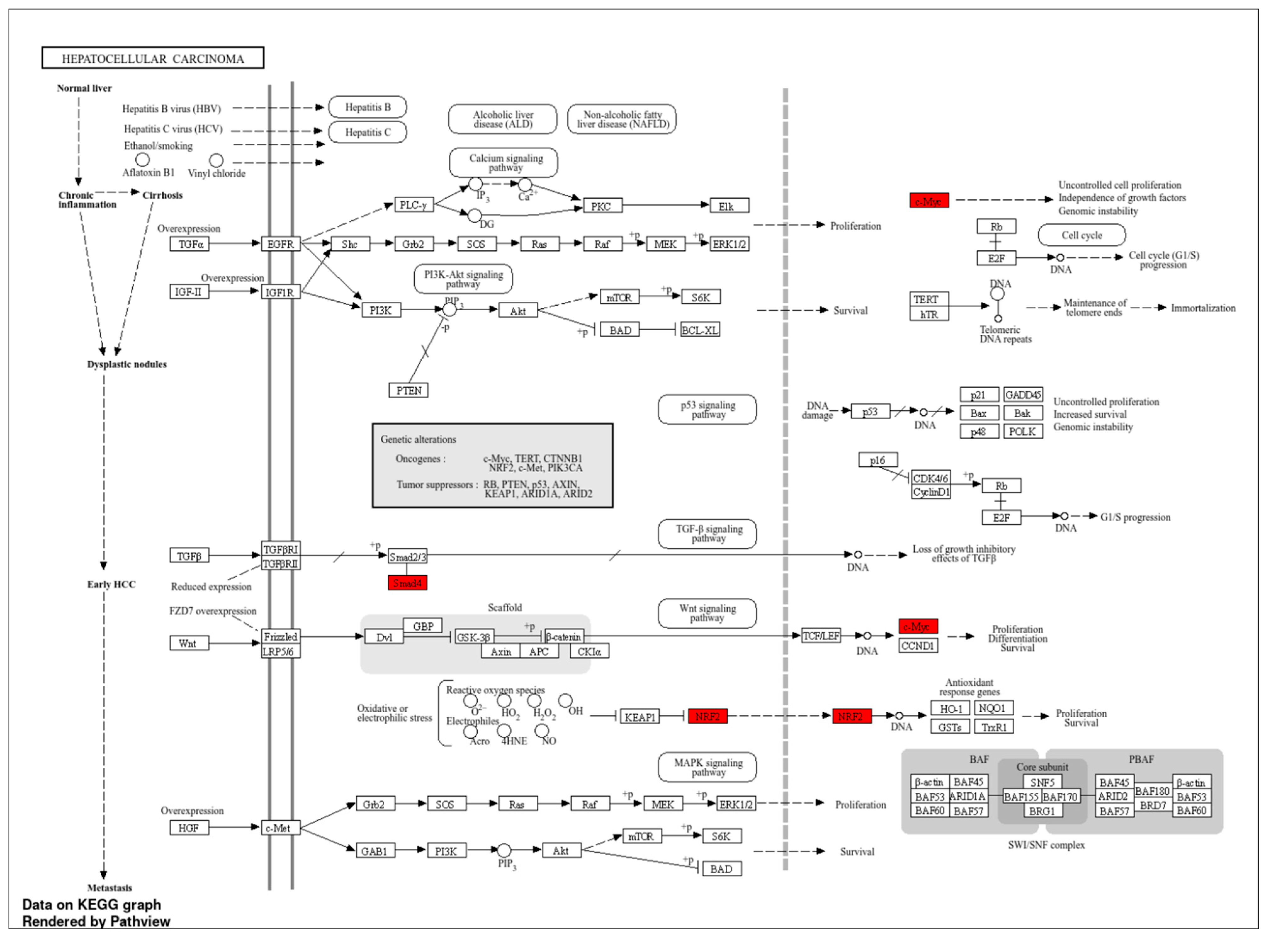 Molecules 30 02855 g003