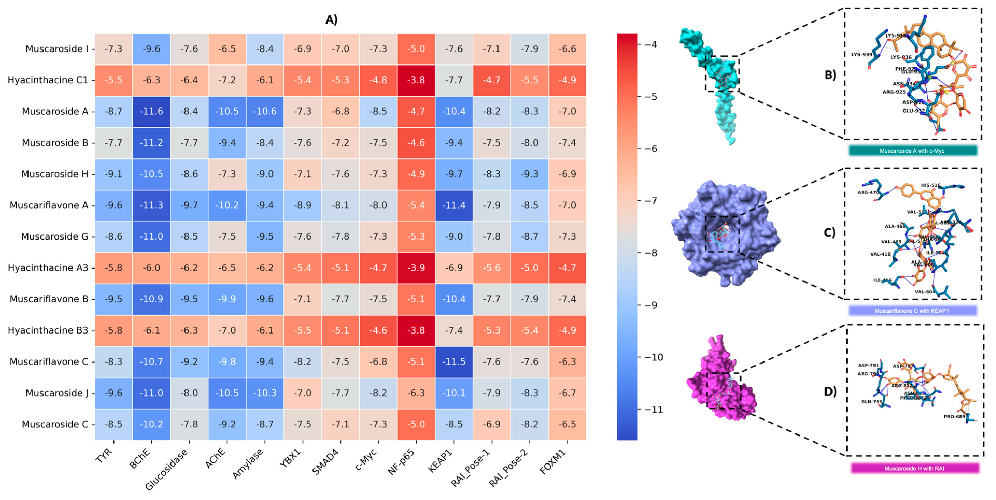 Molecules 30 02855 g004