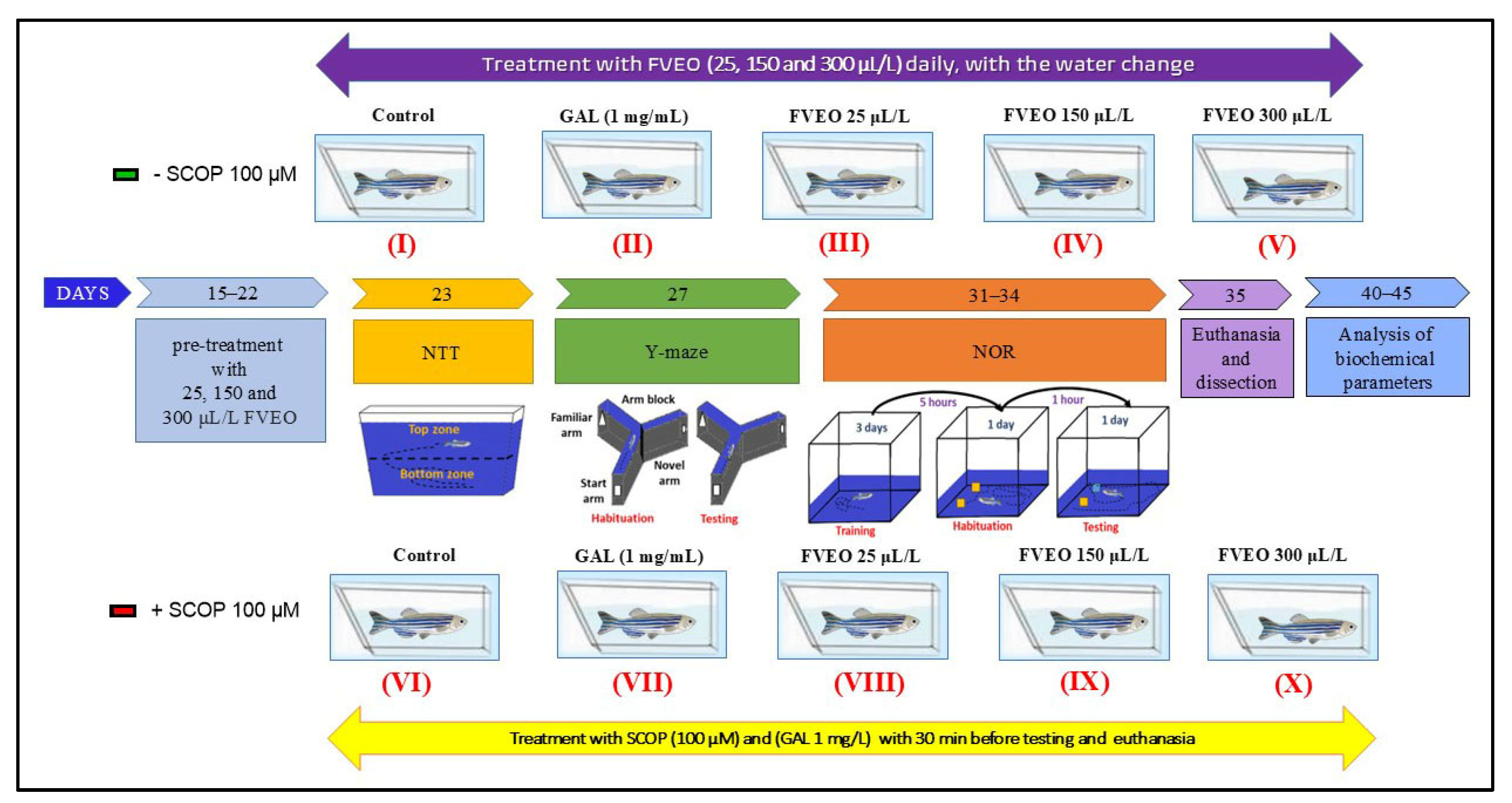 Molecules 30 02858 g008