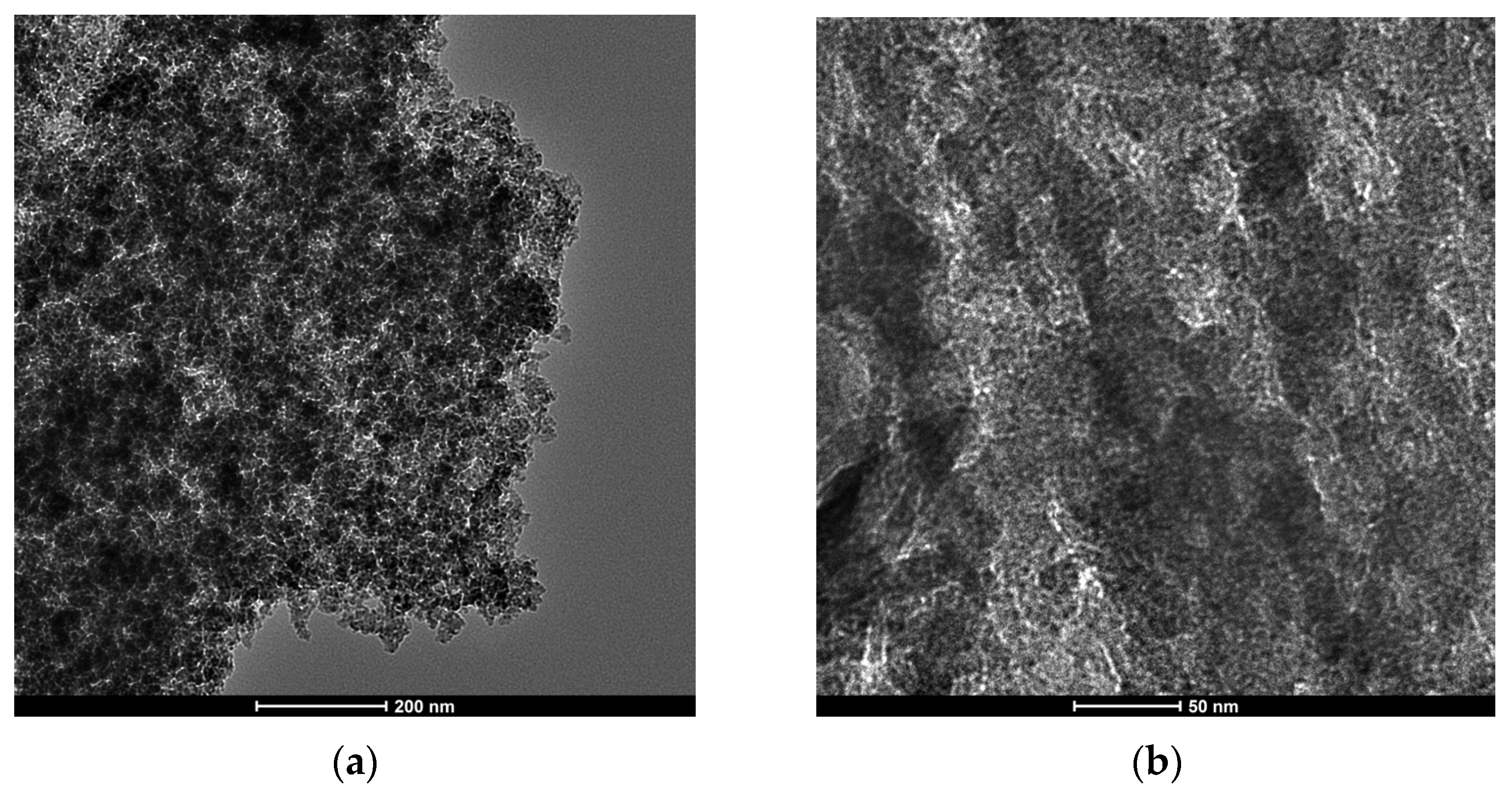 Molecules 30 02862 g001