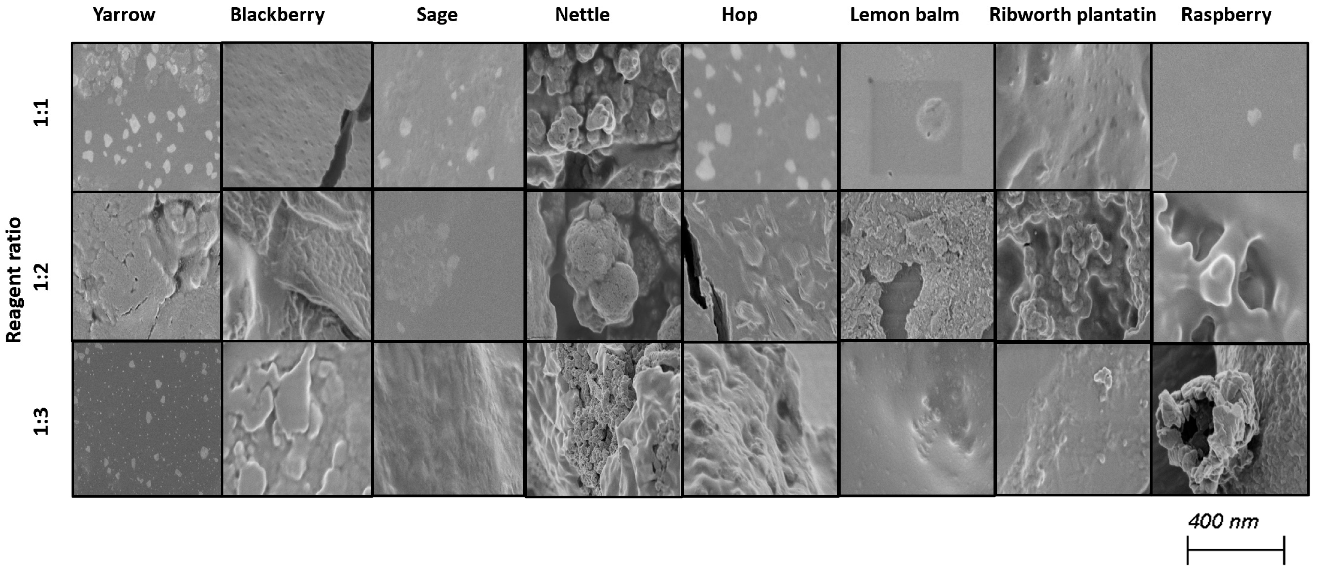 Molecules 30 02865 g002