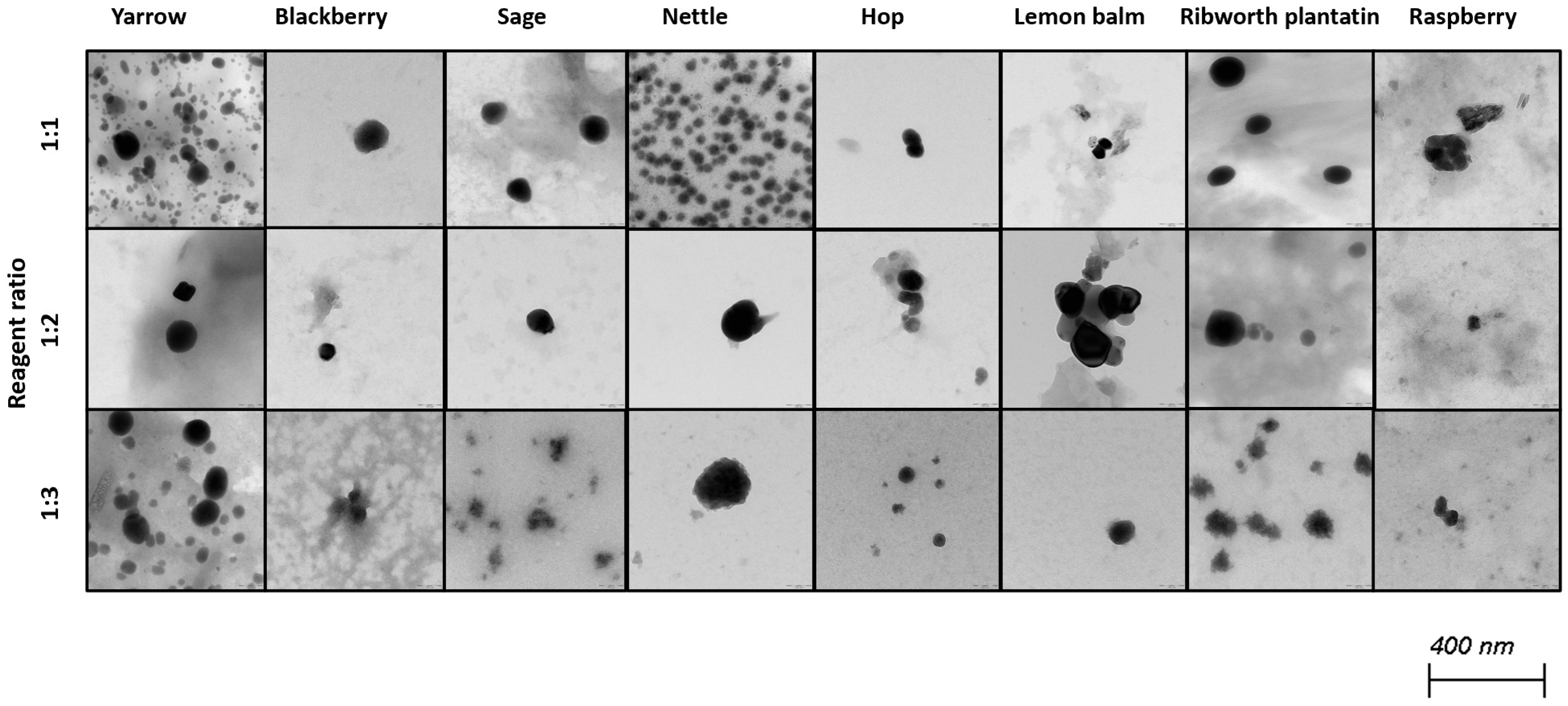 Molecules 30 02865 g003