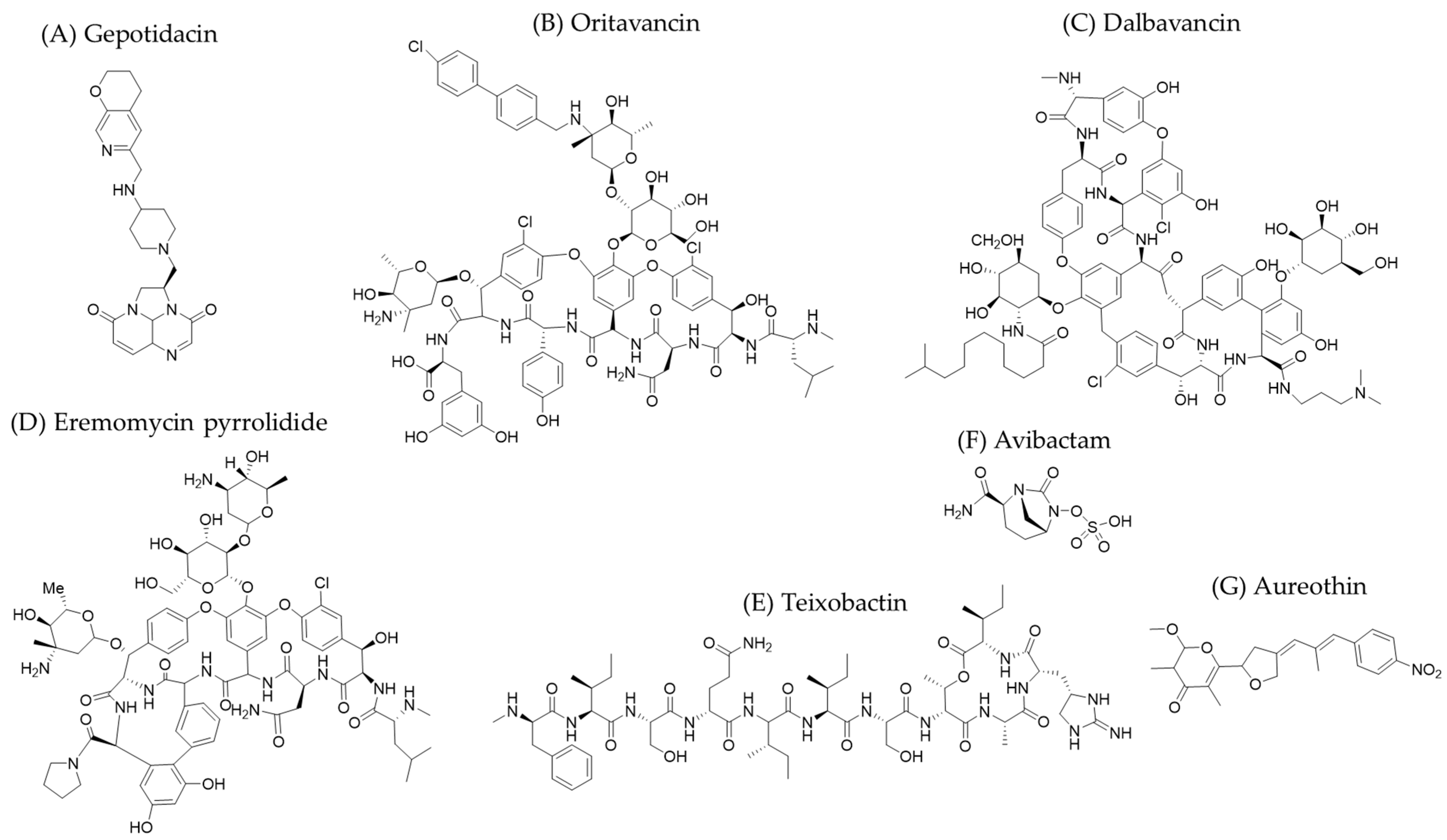 Molecules 30 02868 g001